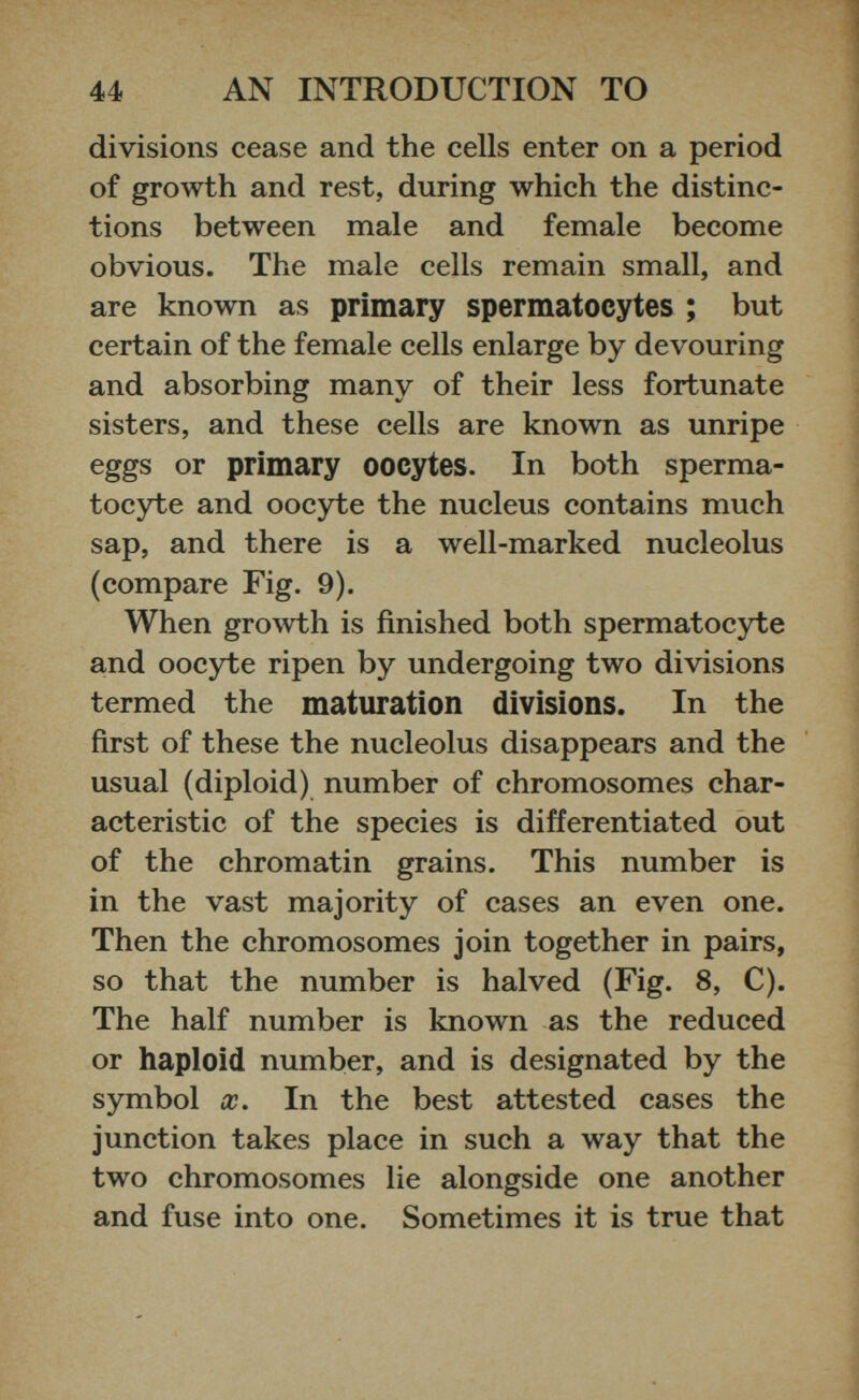 divisions cease and the cells enter on a period of growth and rest, during which the distinc tions between male and female become obvious. The male cells remain small, and are known as primary spermatocytes ; but certain of the female cells enlarge by devouring and absorbing many of their less fortunate sisters, and these cells are known as unripe eggs or primary oocytes. In both sperma tocyte and oocyte the nucleus contains much sap, and there is a well-marked nucleolus (compare Fig. 9). When growth is finished both spermatocyte and oocyte ripen by undergoing two divisions termed the maturation divisions. In the first of these the nucleolus disappears and the usual (diploid) number of chromosomes char acteristic of the species is differentiated out of the chromatin grains. This number is in the vast majority of cases an even one. Then the chromosomes join together in pairs, so that the number is halved (Fig. 8, C). The half number is known as the reduced or haploid number, and is designated by the symbol x. In the best attested cases the junction takes place in such a way that the two chromosomes lie alongside one another and fuse into one. Sometimes it is true that