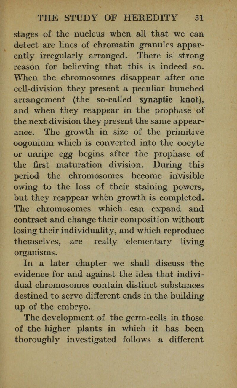 stages of the nucleus when all that we can detect are lines of chromatin granules appar ently irregularly arranged. There is strong reason for believing that this is indeed so. When the chromosomes disappear after one cell-division they present a peculiar bunched arrangement (the so-called synaptic knot), and when they reappear in the prophase of the next division they present the same appear ance. The growth in size of the primitive oogonium which is converted into the oocyte or unripe egg begins after the prophase of the first maturation division. During this period the chromosomes become invisible owing to the loss of their staining powers, but they reappear when growth is completed. The chromosomes which can expand and contract and change their composition without losing their individuality, and which reproduce themselves, are really elementary living organisms. In a later chapter we shall discuss the evidence for and against the idea that indivi dual chromosomes contain distinct substances destined to serve different ends in the building up of the embryo. The development of the germ-cells in those of the higher plants in which it has been thoroughly investigated follows a different