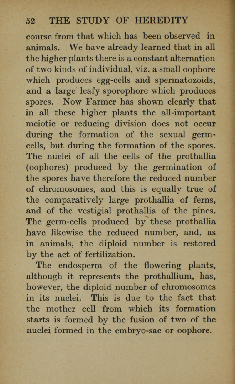 course from that which has been observed in animals. We have already learned that in all the higher plants there is a constant alternation of two kinds of individual, viz. a small oophore which produces egg-cells and spermatozoids, and a large leafy sporophore which produces spores. Now Farmer has shown clearly that in all these higher plants the all-important meiotic or reducing division does not occur during the formation of the sexual germ- cells, but during the formation of the spores. The nuclei of all the cells of the prothallia (oophores) produced by the germination of the spores have therefore the reduced number of chromosomes, and this is equally true of the comparatively large prothallia of ferns, and of the vestigial prothallia of the pines. The germ-cells produced by these prothallia have likewise the reduced number, and, as in animals, the diploid number is restored by the act of fertilization. The endosperm of the flowering plants, although it represents the prothallium, has, however, the diploid number of chromosomes in its nuclei. This is due to the fact that the mother cell from which its formation starts is formed by the fusion of two of the nuclei formed in the embryo-sac or oophore.