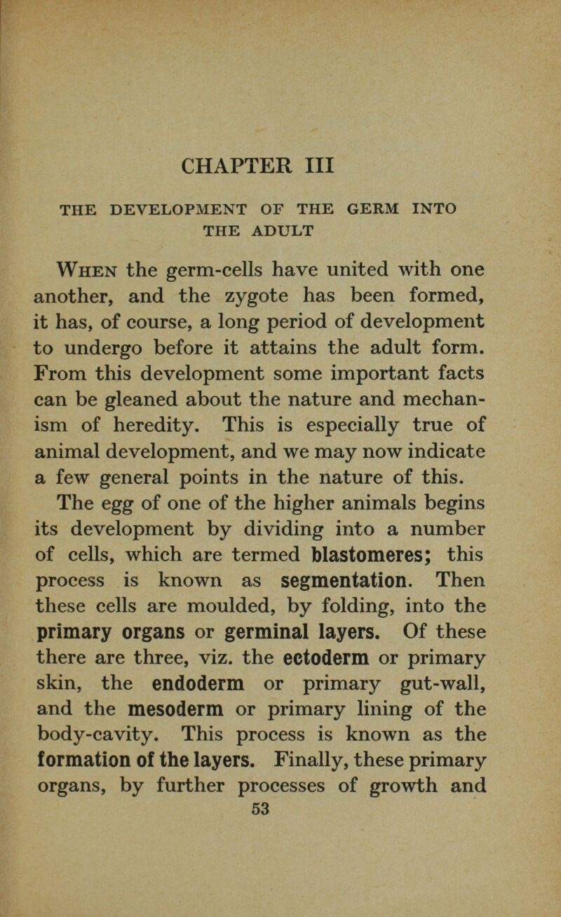 CHAPTER III THE DEVELOPMENT OF THE GERM INTO THE ADULT When the germ-cells have united with one another, and the zygote has been formed, it has, of course, a long period of development to undergo before it attains the adult form. From this development some important facts can be gleaned about the nature and mechan ism of heredity. This is especially true of animal development, and we may now indicate a few general points in the nature of this. The egg of one of the higher animals begins its development by dividing into a number of cells, which are termed blastomeres; this process is known as segmentation. Then these cells are moulded, by folding, into the primary organs or germinal layers. Of these there are three, viz. the ectoderm or primary skin, the endoderm or primary gut-wall, and the mesoderm or primary lining of the body-cavity. This process is known as the formation of the layers. Finally, these primary organs, by further processes of growth and 53