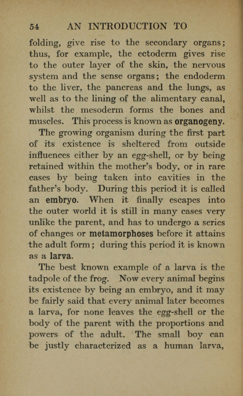 folding, give rise to the secondary organs; thus, for example, the ectoderm gives rise to the outer layer of the skin, the nervous system and the sense organs; the endoderm to the liver, the pancreas and the lungs, as well as to the lining of the alimentary canal, whilst the mesoderm forms the bones and muscles. This process is known as organogeny. The growing organism during the first part of its existence is sheltered from outside influences either by an egg-shell, or by being retained within the mother’s body, or in rare cases by being taken into cavities in the father’s body. During this period it is called an embryo. When it finally escapes into the outer world it is still in many cases very unlike the parent, and has to undergo a series of changes or metamorphoses before it attains the adult form; during this period it is known as a larva. The best known example of a larva is the tadpole of the frog. Now every animal begins its existence by being an embryo, and it may be fairly said that every animal later becomes a larva, for none leaves the egg-shell or the body of the parent with the proportions and powers of the adult. The small boy can be justly characterized as a human larva,