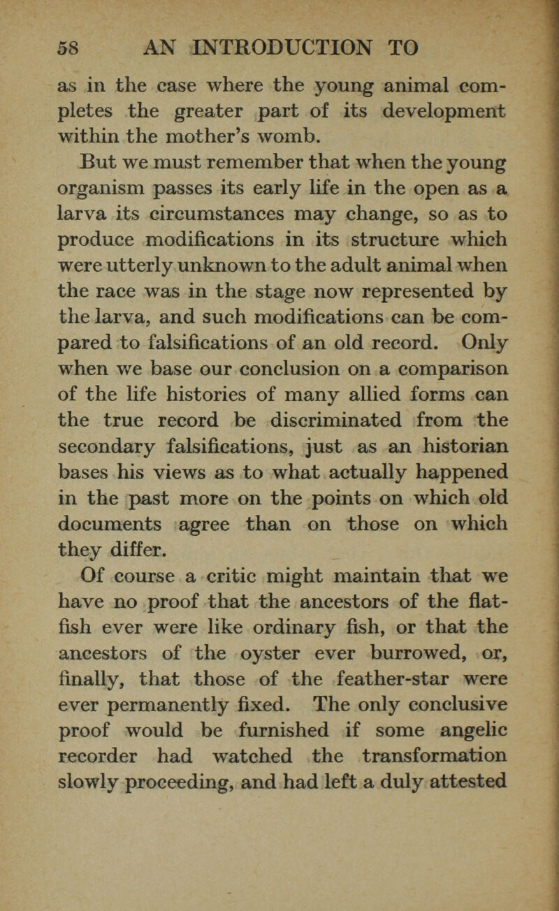 as in the case where the young animal com pletes the greater part of its development within the mother’s womb. But we must remember that when the young organism passes its early life in the open as a larva its circumstances may change, so as to produce modifications in its structure which were utterly unknown to the adult animal when the race was in the stage now represented by the larva, and such modifications can be com pared to falsifications of an old record. Only when we base our conclusion on a comparison of the life histories of many allied forms can the true record be discriminated from the secondary falsifications, just as an historian bases his views as to what actually happened in the past more on the points on which old documents agree than on those on which they differ. Of course a critic might maintain that we have no proof that the ancestors of the flat fish ever were like ordinary fish, or that the ancestors of the oyster ever burrowed, or, finally, that those of the feather-star were ever permanently fixed. The only conclusive proof would be furnished if some angelic recorder had watched the transformation slowly proceeding, and had left a duly attested