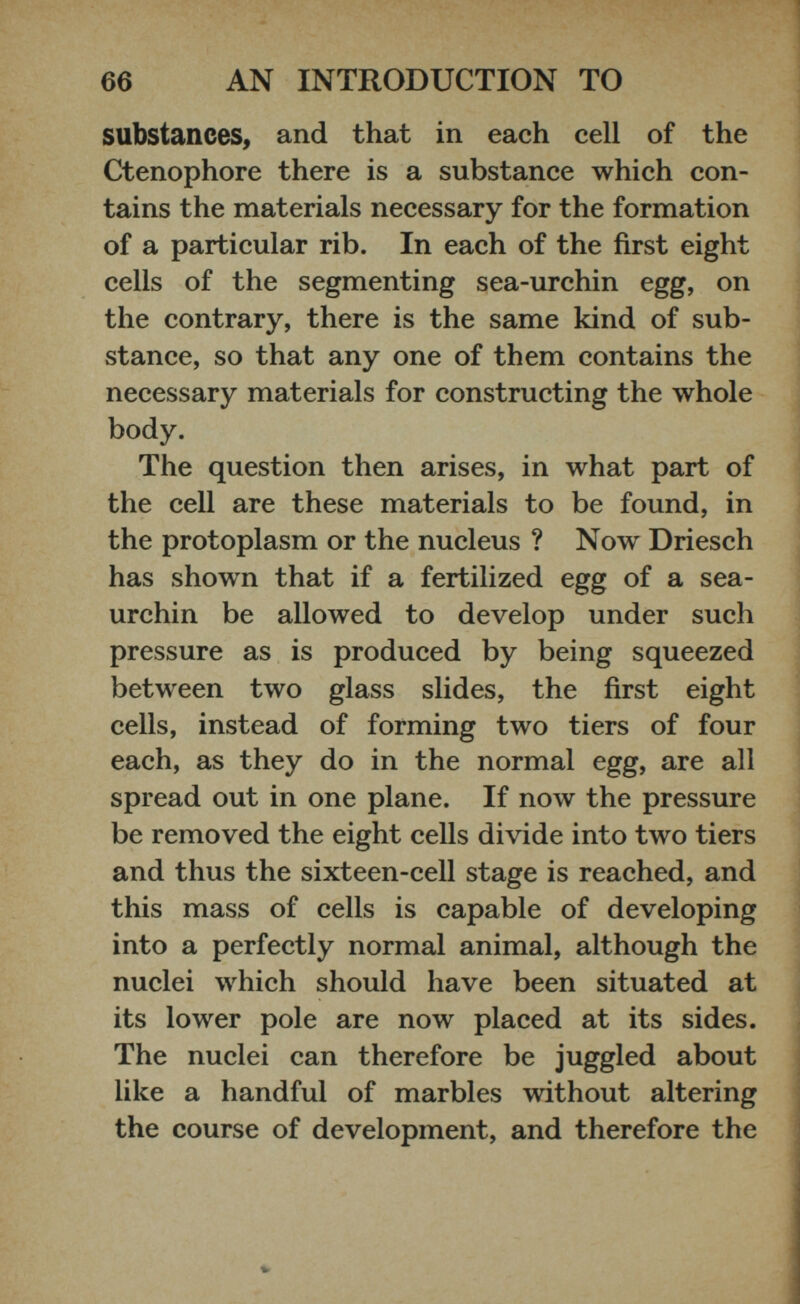 substances, and that in each cell of the Ctenophore there is a substance which con tains the materials necessary for the formation of a particular rib. In each of the first eight cells of the segmenting sea-urchin egg, on the contrary, there is the same kind of sub stance, so that any one of them contains the necessary materials for constructing the whole body. The question then arises, in what part of the cell are these materials to be found, in the protoplasm or the nucleus ? Now Driesch has shown that if a fertilized egg of a sea- urchin be allowed to develop under such pressure as is produced by being squeezed between two glass slides, the first eight cells, instead of forming two tiers of four each, as they do in the normal egg, are all spread out in one plane. If now the pressure be removed the eight cells divide into two tiers and thus the sixteen-cell stage is reached, and this mass of cells is capable of developing into a perfectly normal animal, although the nuclei which should have been situated at its lower pole are now placed at its sides. The nuclei can therefore be juggled about like a handful of marbles without altering the course of development, and therefore the