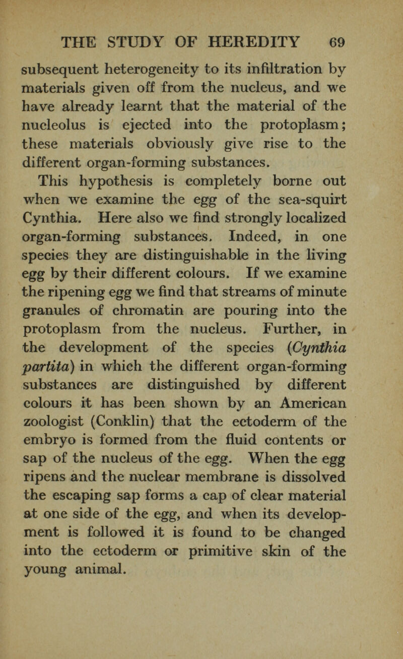 subsequent heterogeneity to its infiltration by materials given off from the nucleus, and we have already learnt that the material of the nucleolus is ejected into the protoplasm; these materials obviously give rise to the different organ-forming substances. This hypothesis is completely borne out when we examine the egg of the sea-squirt Cynthia. Here also we find strongly localized organ-forming substances. Indeed, in one species they are distinguishable in the living egg by their different colours. If we examine the ripening egg we find that streams of minute granules of chromatin are pouring into the protoplasm from the nucleus. Further, in the development of the species (Cynthia partita) in which the different organ-forming substances are distinguished by different colours it has been shown by an American zoologist (Conklin) that the ectoderm of the embryo is formed from the fluid contents or sap of the nucleus of the egg. When the egg ripens and the nuclear membrane is dissolved the escaping sap forms a cap of clear material at one side of the egg, and when its develop ment is followed it is found to be changed into the ectoderm or primitive skin of the young animal.