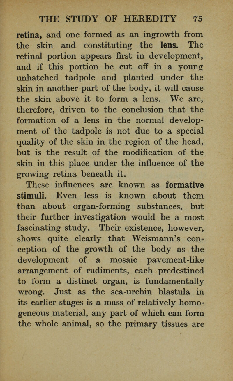 retina, and one formed as an ingrowth from the skin and constituting the lens. The retinal portion appears first in development, and if this portion be cut off in a young unhatched tadpole and planted under the skin in another part of the body, it will cause the skin above it to form a lens. We are, therefore, driven to the conclusion that the formation of a lens in the normal develop ment of the tadpole is not due to a special quality of the skin in the region of the head, but is the result of the modification of the skin in this place under the influence of the growing retina beneath it. These influences are known as formative stimuli. Even less is known about them than about organ-forming substances, but their further investigation would be a most fascinating study. Their existence, however, shows quite clearly that Weismann’s con ception of the growth of the body as the development of a mosaic pavement-like arrangement of rudiments, each predestined to form a distinct organ, is fundamentally wrong. Just as the sea-urchin blastula in its earlier stages is a mass of relatively homo geneous material, any part of which can form the whole animal, so the primary tissues are