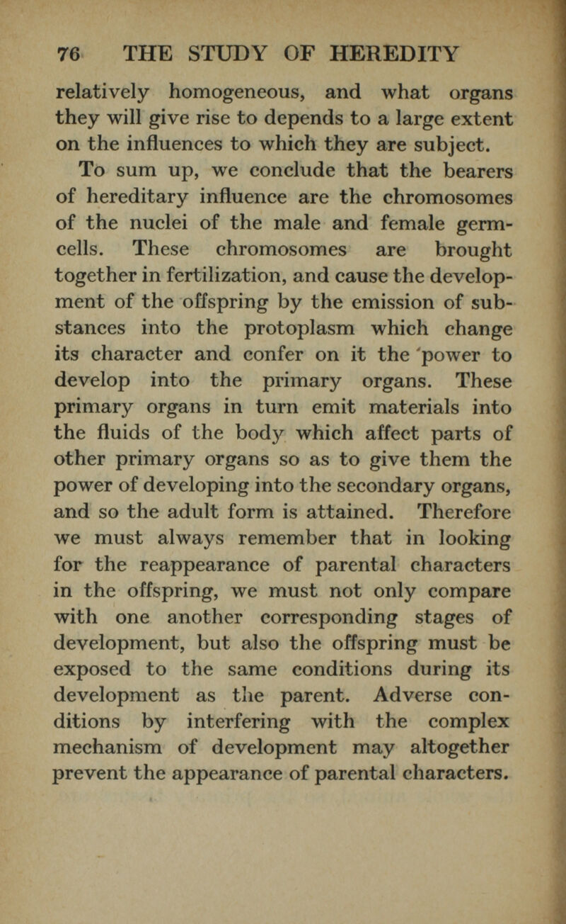 relatively homogeneous, and what organs they will give rise to depends to a large extent on the influences to which they are subject. To sum up, we conclude that the bearers of hereditary influence are the chromosomes of the nuclei of the male and female germ- cells. These chromosomes are brought together in fertilization, and cause the develop ment of the offspring by the emission of sub stances into the protoplasm which change its character and confer on it the 'power to develop into the primary organs. These primary organs in turn emit materials into the fluids of the body which affect parts of other primary organs so as to give them the power of developing into the secondary organs, and so the adult form is attained. Therefore we must always remember that in looking for the reappearance of parental characters in the offspring, we must not only compare with one another corresponding stages of development, but also the offspring must be exposed to the same conditions during its development as the parent. Adverse con ditions by interfering with the complex mechanism of development may altogether prevent the appearance of parental characters.