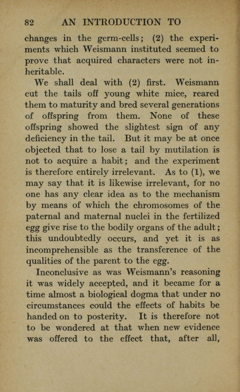 changes in the germ-cells; (2) the experi ments which Weismann instituted seemed to prove that acquired characters were not in heritable. We shall deal with (2) first. Weismann cut the tails off young white mice, reared them to maturity and bred several generations of offspring from them. None of these offspring showed the slightest sign of any deficiency in the tail. But it may be at once objected that to lose a tail by mutilation is not to acquire a habit; and the experiment is therefore entirely irrelevant. As to (1), we may say that it is likewise irrelevant, for no one has any clear idea as to the mechanism by means of which the chromosomes of the paternal and maternal nuclei in the fertilized egg give rise to the bodily organs of the adult; this undoubtedly occurs, and yet it is as incomprehensible as the transference of the qualities of the parent to the egg. Inconclusive as was Weismann’s reasoning it was widely accepted, and it became for a time almost a biological dogma that under no circumstances could the effects of habits be handed on to posterity. It is therefore not to be wondered at that when new evidence was offered to the effect that, after all,