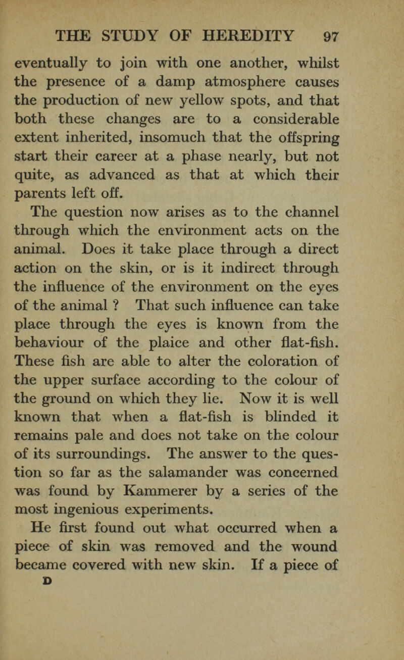 eventually to join with one another, whilst the presence of a damp atmosphere causes the production of new yellow spots, and that both these changes are to a considerable extent inherited, insomuch that the offspring start their career at a phase nearly, but not quite, as advanced as that at which their parents left off. The question now arises as to the channel through which the environment acts on the animal. Does it take place through a direct action on the skin, or is it indirect through the influence of the environment on the eyes of the animal ? That such influence can take place through the eyes is known from the behaviour of the plaice and other flat-fish. These fish are able to alter the coloration of the upper surface according to the colour of the ground on which they lie. Now it is well known that when a flat-fish is blinded it remains pale and does not take on the colour of its surroundings. The answer to the ques tion so far as the salamander was concerned was found by Kammerer by a series of the most ingenious experiments. He first found out what occurred when a piece of skin was removed and the wound became covered with new skin. If a piece of D