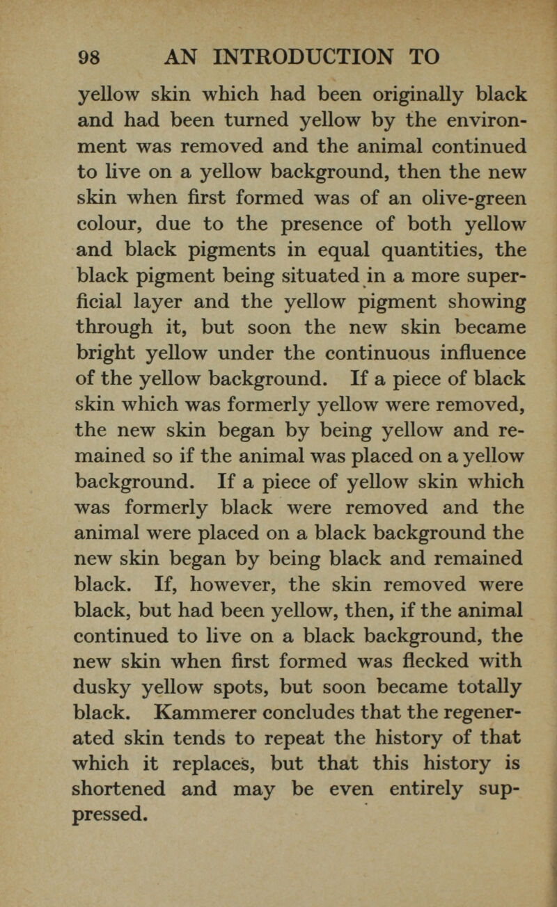 yellow skin which had been originally black and had been turned yellow by the environ ment was removed and the animal continued to live on a yellow background, then the new skin when first formed was of an olive-green colour, due to the presence of both yellow and black pigments in equal quantities, the black pigment being situated in a more super ficial layer and the yellow pigment showing through it, but soon the new skin became bright yellow under the continuous influence of the yellow background. If a piece of black skin which was formerly yellow were removed, the new skin began by being yellow and re mained so if the animal was placed on a yellow background. If a piece of yellow skin which was formerly black were removed and the animal were placed on a black background the new skin began by being black and remained black. If, however, the skin removed were black, but had been yellow, then, if the animal continued to live on a black background, the new skin when first formed was flecked with dusky yellow spots, but soon became totally black. Kammerer concludes that the regener ated skin tends to repeat the history of that which it replaces, but that this history is shortened and may be even entirely sup pressed.