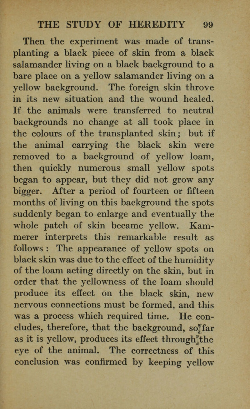 Then the experiment was made of trans planting a black piece of skin from a black salamander living on a black background to a bare place on a yellow salamander living on a yellow background. The foreign skin throve in its new situation and the wound healed. If the animals were transferred to neutral backgrounds no change at all took place in the colours of the transplanted skin; but if the animal carrying the black skin were removed to a background of yellow loam, then quickly numerous small yellow spots began to appear, but they did not grow any bigger. After a period of fourteen or fifteen months of living on this background the spots suddenly began to enlarge and eventually the whole patch of skin became yellow. Kam- merer interprets this remarkable result as follows : The appearance of yellow spots on black skin was due to the effect of the humidity of the loam acting directly on the skin, but in order that the yellowness of the loam should produce its effect on the black skin, new nervous connections must be formed, and this was a process which required time. He con cludes, therefore, that the background, sojfar as it is yellow, produces its effect through^the eye of the animal. The correctness of this conclusion was confirmed by keeping yellow