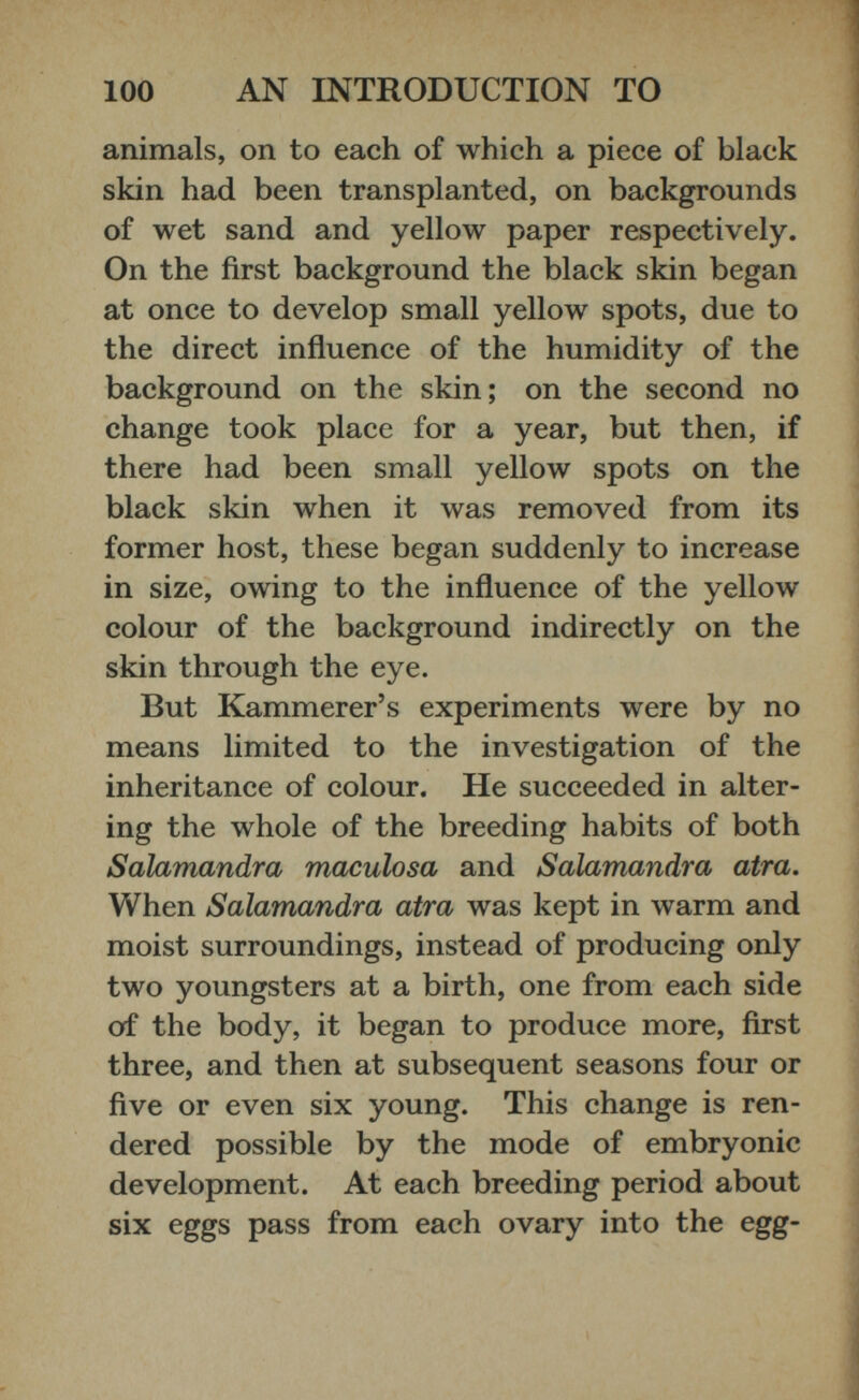 animals, on to each of which a piece of black skin had been transplanted, on backgrounds of wet sand and yellow paper respectively. On the first background the black skin began at once to develop small yellow spots, due to the direct influence of the humidity of the background on the skin; on the second no change took place for a year, but then, if there had been small yellow spots on the black skin when it was removed from its former host, these began suddenly to increase in size, owing to the influence of the yellow colour of the background indirectly on the skin through the eye. But Kammerer’s experiments were by no means limited to the investigation of the inheritance of colour. He succeeded in alter ing the whole of the breeding habits of both Salamandra maculosa and Salamandra atra. When Salamandra atra was kept in warm and moist surroundings, instead of producing only two youngsters at a birth, one from each side of the body, it began to produce more, first three, and then at subsequent seasons four or five or even six young. This change is ren dered possible by the mode of embryonic development. At each breeding period about six eggs pass from each ovary into the egg-