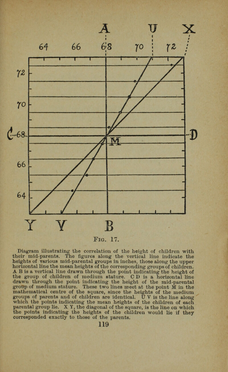 T Y B Fig. 17. Diagram illustrating the correlation of the height of children with their mid-parents. The figures along the vertical line indicate the heights of various mid-parental groups in inches, those along the upper horizontal line the mean heights of the corresponding groups of children. A B is a vertical line drawn through the point indicating the height of the group of children of medium stature. C D is a horizontal line drawn through the point indicating the height of the mid-parental group of medium stature. These two lines meet at the point M in the mathematical centre of the square, since the heights of the medium groups of parents and of children are identical. U V is the line along which the points indicating the mean heights of the children of each parental group lie. X Y, the diagonal of the square, is the line on which the points indicating the heights of the children would lie if they corresponded exactly to those of the parents.