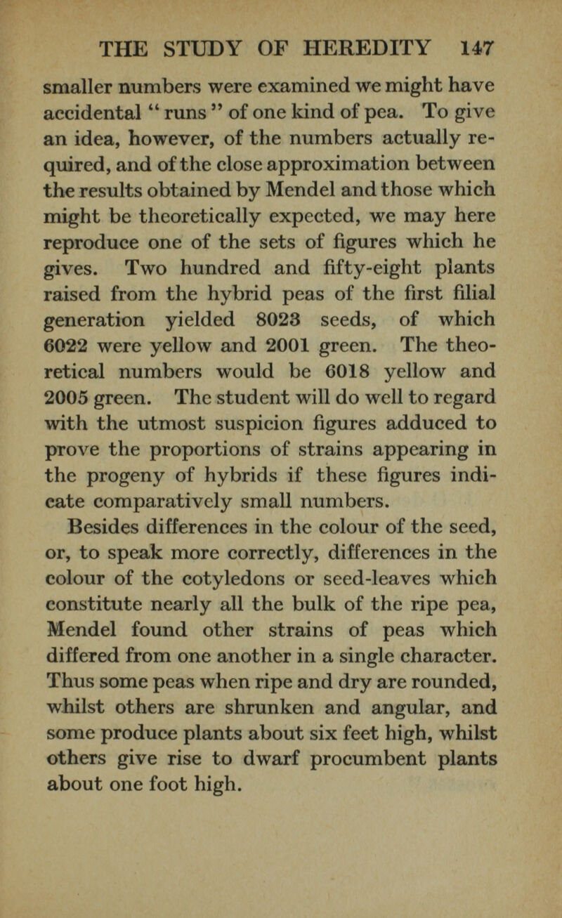 smaller numbers were examined we might have accidental “ runs ” of one kind of pea. To give an idea, however, of the numbers actually re quired, and of the close approximation between the results obtained by Mendel and those which might be theoretically expected, we may here reproduce one of the sets of figures which he gives. Two hundred and fifty-eight plants raised from the hybrid peas of the first filial generation yielded 8023 seeds, of which 6022 were yellow and 2001 green. The theo retical numbers would be 6018 yellow and 2005 green. The student will do well to regard with the utmost suspicion figures adduced to prove the proportions of strains appearing in the progeny of hybrids if these figures indi cate comparatively small numbers. Besides differences in the colour of the seed, or, to speak more correctly, differences in the colour of the cotyledons or seed-leaves which constitute nearly all the bulk of the ripe pea, Mendel found other strains of peas which differed from one another in a single character. Thus some peas when ripe and dry are rounded, whilst others are shrunken and angular, and some produce plants about six feet high, whilst others give rise to dwarf procumbent plants about one foot high.