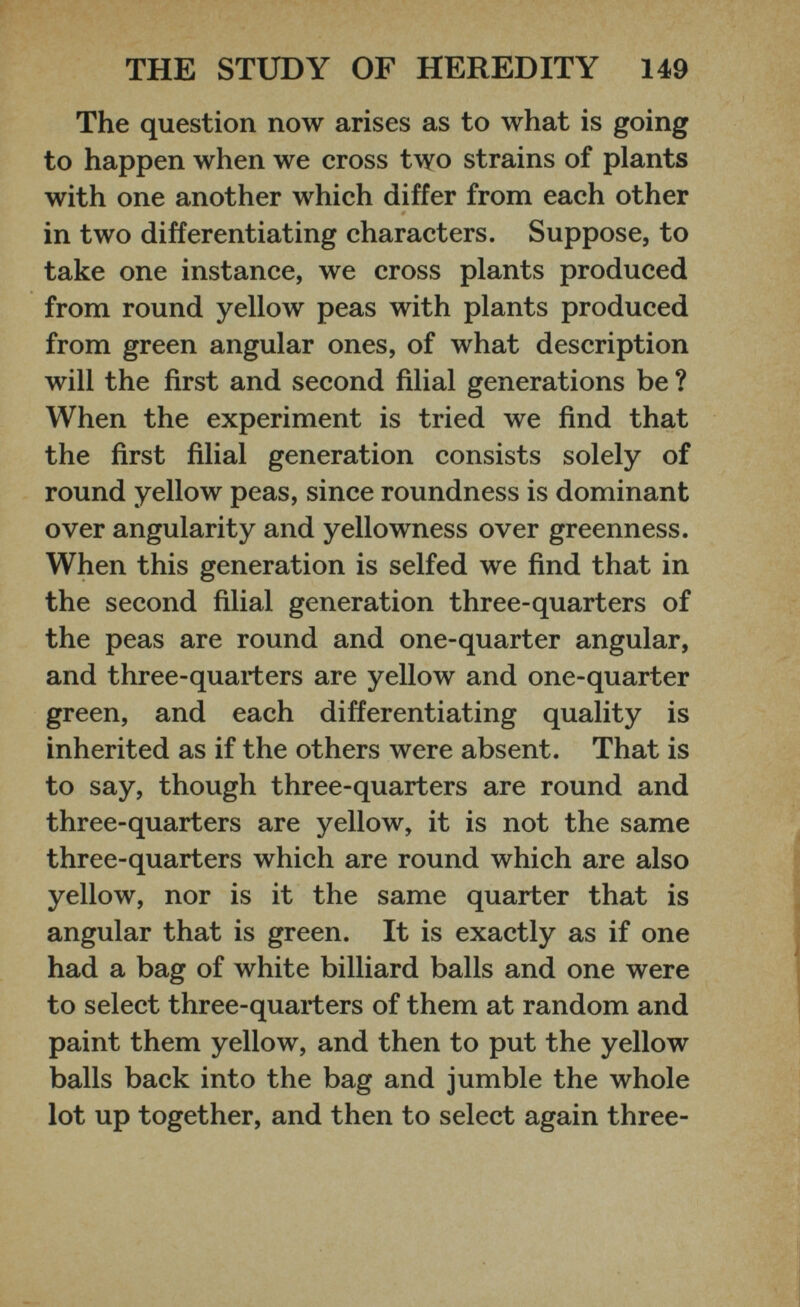 The question now arises as to what is going to happen when we cross two strains of plants with one another which differ from each other in two differentiating characters. Suppose, to take one instance, we cross plants produced from round yellow peas with plants produced from green angular ones, of what description will the first and second filial generations be ? When the experiment is tried we find that the first filial generation consists solely of round yellow peas, since roundness is dominant over angularity and yellowness over greenness. When this generation is selfed we find that in the second filial generation three-quarters of the peas are round and one-quarter angular, and three-quarters are yellow and one-quarter green, and each differentiating quality is inherited as if the others were absent. That is to say, though three-quarters are round and three-quarters are yellow, it is not the same three-quarters which are round which are also yellow, nor is it the same quarter that is angular that is green. It is exactly as if one had a bag of white billiard balls and one were to select three-quarters of them at random and paint them yellow, and then to put the yellow balls back into the bag and jumble the whole lot up together, and then to select again three-