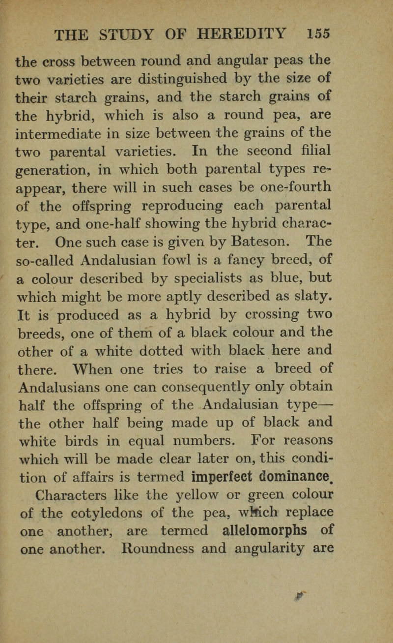 the cross between round and angular peas the two varieties are distinguished by the size of their starch grains, and the starch grains of the hybrid, which is also a round pea, are intermediate in size between the grains of the two parental varieties. In the second filial generation, in which both parental types re appear, there will in such cases be one-fourth of the offspring reproducing each parental type, and one-half showing the hybrid charac ter. One such case is given by Bateson. The so-called Andalusian fowl is a fancy breed, of a colour described by specialists as blue, but which might be more aptly described as slaty. It is produced as a hybrid by crossing two breeds, one of them of a black colour and the other of a white dotted with black here and there. When one tries to raise a breed of Andalusians one can consequently only obtain half the offspring of the Andalusian type— the other half being made up of black and white birds in equal numbers. For reasons which will be made clear later on, this condi tion of affairs is termed imperfect dominance. Characters like the yellow or green colour of the cotyledons of the pea, which replace one another, are termed allelomorphs of one another. Roundness and angularity are