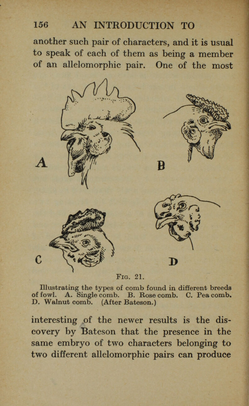 another such pair of characters, and it is usual to speak of each of them as being a member of an allelomorphic pair. One of the most Illustrating the types of comb found in different breeds of fowl. A. Single comb. B. Rose comb. C. Pea comb. D. Walnut comb. (After Bateson.) interesting of the newer results is the dis covery by Bateson that the presence in the same embryo of two characters belonging to two different allelomorphic pairs can produce