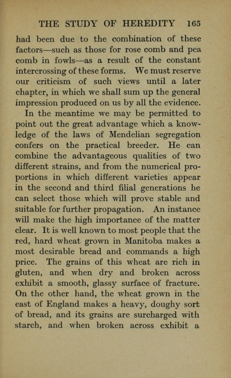 had been due to the combination of these factors—such as those for rose comb and pea comb in fowls—as a result of the constant intercrossing of these forms. We must reserve our criticism of such views until a later chapter, in which we shall sum up the general impression produced on us by all the evidence. In the meantime we may be permitted to point out the great advantage which a know ledge of the laws of Mendelian segregation confers on the practical breeder. He can combine the advantageous qualities of two different strains, and from the numerical pro portions in which different varieties appear in the second and third filial generations he can select those which will prove stable and suitable for further propagation. An instance will make the high importance of the matter clear. It is well known to most people that the red, hard wheat grown in Manitoba makes a most desirable bread and commands a high price. The grains of this wheat are rich in gluten, and when dry and broken across exhibit a smooth, glassy surface of fracture. On the other hand, the wheat grown in the east of England makes a heavy, doughy sort of bread, and its grains are surcharged with starch, and when broken across exhibit a