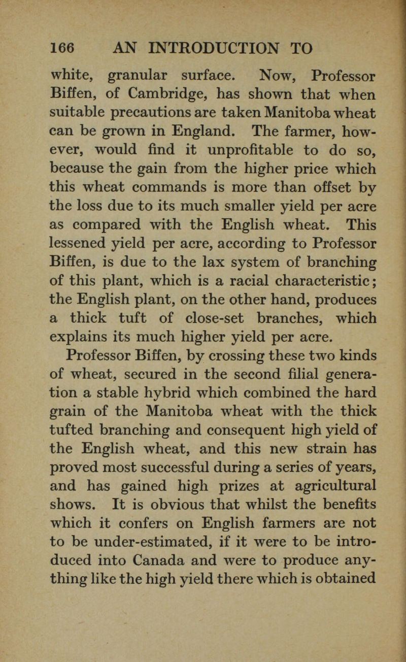 white, granular surface. Now, Professor Biffen, of Cambridge, has shown that when suitable precautions are taken Manitoba wheat can be grown in England. The farmer, how ever, would find it unprofitable to do so, because the gain from the higher price which this wheat commands is more than offset by the loss due to its much smaller yield per acre as compared with the English wheat. This lessened yield per acre, according to Professor Biffen, is due to the lax system of branching of this plant, which is a racial characteristic; the English plant, on the other hand, produces a thick tuft of close-set branches, which explains its much higher yield per acre. Professor Biffen, by crossing these two kinds of wheat, secured in the second filial genera tion a stable hybrid which combined the hard grain of the Manitoba wheat with the thick tufted branching and consequent high yield of the English wheat, and this new strain has proved most successful during a series of years, and has gained high prizes at agricultural shows. It is obvious that whilst the benefits which it confers on English farmers are not to be under-estimated, if it were to be intro duced into Canada and were to produce any thing like the high yield there which is obtained