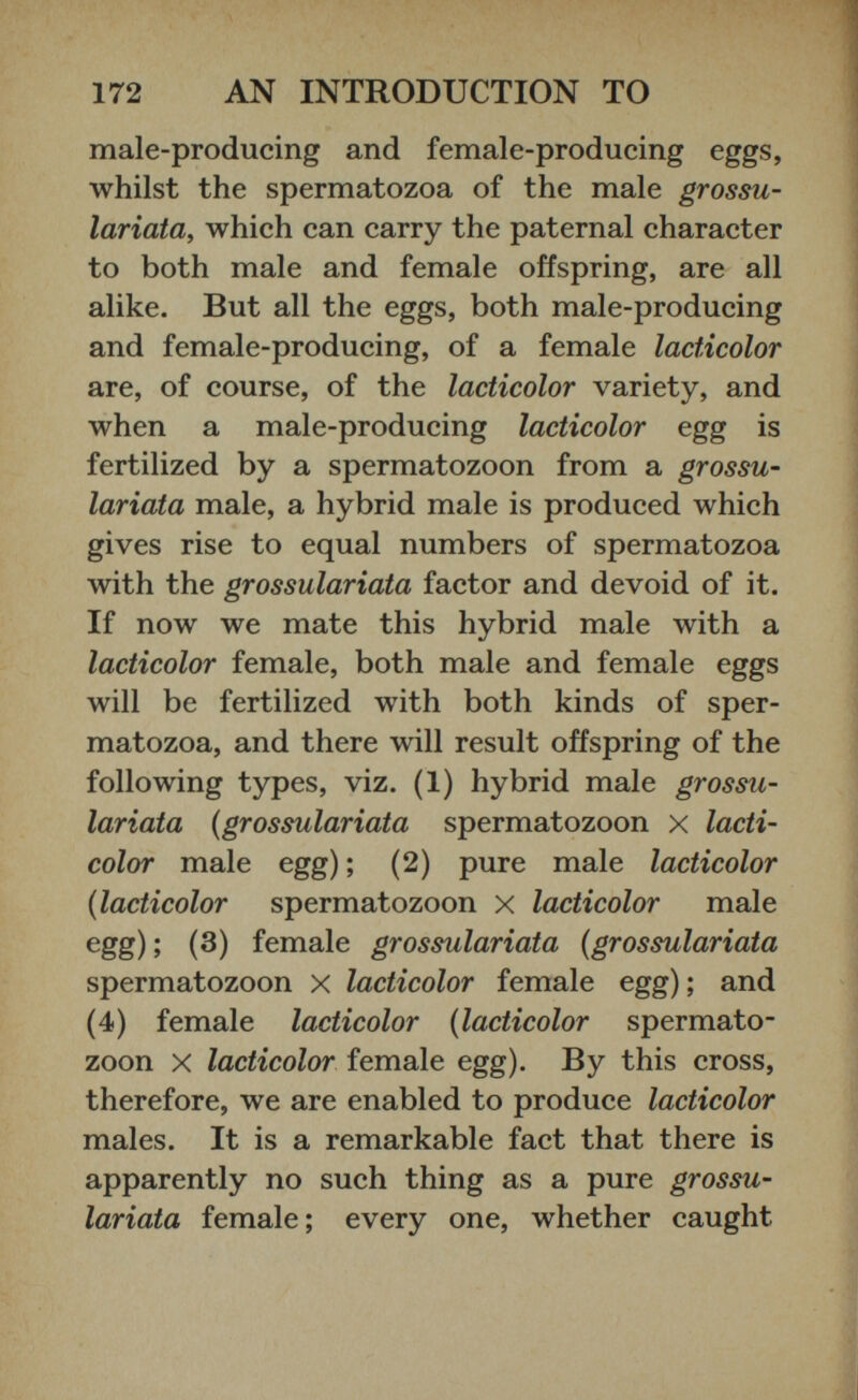 male-producing and female-producing eggs, whilst the spermatozoa of the male grossu- lariata, which can carry the paternal character to both male and female offspring, are all alike. But all the eggs, both male-producing and female-producing, of a female lacticolor are, of course, of the lacticolor variety, and when a male-producing lacticolor egg is fertilized by a spermatozoon from a grossu- lariata male, a hybrid male is produced which gives rise to equal numbers of spermatozoa with the grossulariata factor and devoid of it. If now we mate this hybrid male with a lacticolor female, both male and female eggs will be fertilized with both kinds of sper matozoa, and there will result offspring of the following types, viz. (1) hybrid male grossu lariata (grossulariata spermatozoon x lacti color male egg); (2) pure male lacticolor (lacticolor spermatozoon x lacticolor male egg); (3) female grossulariata (grossulariata spermatozoon x lacticolor female egg); and (4) female lacticolor (lacticolor spermato zoon x lacticolor female egg). By this cross, therefore, we are enabled to produce lacticolor males. It is a remarkable fact that there is apparently no such thing as a pure grossu lariata female; every one, whether caught