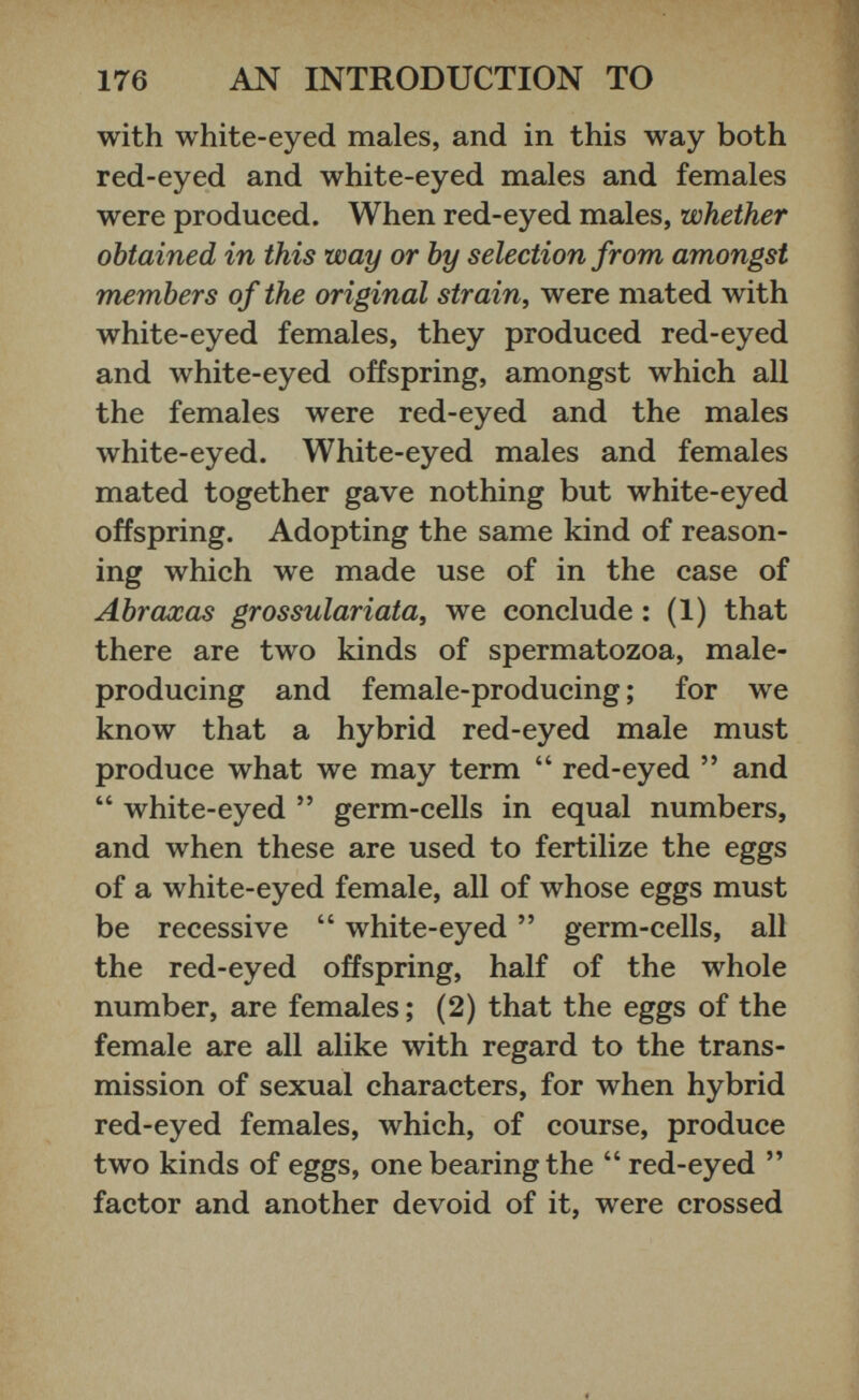 with white-eyed males, and in this way both red-eyed and white-eyed males and females were produced. When red-eyed males, whether obtained in this way or by selection from amongst members of the original strain , were mated with white-eyed females, they produced red-eyed and white-eyed offspring, amongst which all the females were red-eyed and the males white-eyed. White-eyed males and females mated together gave nothing but white-eyed offspring. Adopting the same kind of reason ing which we made use of in the case of Abraxas grossulariata, we conclude : (1) that there are two kinds of spermatozoa, male- producing and female-producing; for we know that a hybrid red-eyed male must produce what we may term “ red-eyed ” and “ white-eyed ” germ-cells in equal numbers, and when these are used to fertilize the eggs of a white-eyed female, all of whose eggs must be recessive “ white-eyed ” germ-cells, all the red-eyed offspring, half of the whole number, are females; (2) that the eggs of the female are all alike with regard to the trans mission of sexual characters, for when hybrid red-eyed females, which, of course, produce two kinds of eggs, one bearing the “ red-eyed ” factor and another devoid of it, were crossed