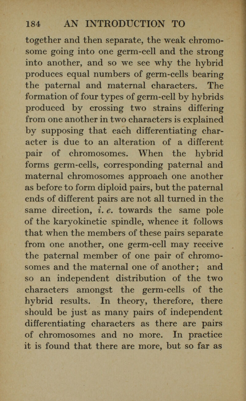 together and then separate, the weak chromo some going into one germ-cell and the strong into another, and so we see why the hybrid produces equal numbers of germ-cells bearing the paternal and maternal characters. The formation of four types of germ-cell by hybrids produced by crossing two strains differing from one another in two characters is explained by supposing that each differentiating char acter is due to an alteration of a different pair of chromosomes. When the hybrid forms germ-cells, corresponding paternal and maternal chromosomes approach one another as before to form diploid pairs, but the paternal ends of different pairs are not all turned in the same direction, i. e. towards the same pole of the karyokinetic spindle, whence it follows that when the members of these pairs separate from one another, one germ-cell may receive the paternal member of one pair of chromo somes and the maternal one of another; and so an independent distribution of the two characters amongst the germ-cells of the hybrid results. In theory, therefore, there should be just as many pairs of independent differentiating characters as there are pairs of chromosomes and no more. In practice it is found that there are more, but so far as