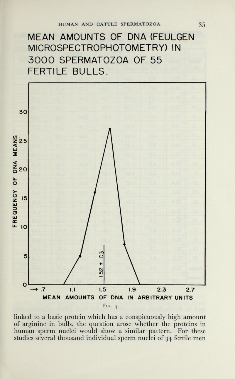 HUMAN AND CATTLE SPERMATOZOA 35 MEAN AMOUNTS OF DNA (FEULGEN MICROSPECTROPHOTOMETRY) IN 3000 SPERMATOZOA OF 55 FERTILE BULLS. MEAN AMOUNTS OF DNA IN ARBITRARY UNITS Fig. 4. linked to a basic protein which has a conspicuously high amount of arginine in bulls, the question arose whether the proteins in human sperm nuclei would show a similar pattern. For these studies several thousand individual sperm nuclei of 34 fertile men