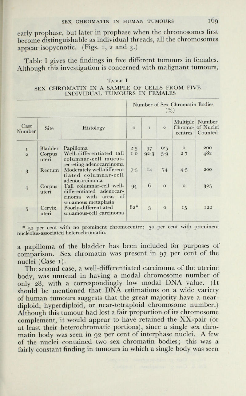 SEX CHROMATIN IN HUMAN TUMOURS 169 early prophase, but later in prophase when the chromosomes first become distinguishable as individual threads, all the chromosomes appear isopycnotic. (Figs, i, 2 and 3.) Table I gives the findings in five different tumours in females. Although this investigation is concerned with malignant tumours, Table I SEX CHROMATIN IN A SAMPLE OF CELLS FROM FIVE INDIVIDUAL TUMOURS IN FEMALES Number of Sex Chromatin Bodies (%) * 52 per cent with no prominent chromocentre; 30 per cent with prominent nucleolus-associated heterochromatin. a papilloma of the bladder has been included for purposes of comparison. Sex chromatin was present in 97 per cent of the nuclei (Case i). The second case, a well-differentiated carcinoma of the uterine body, was unusual in having a modal chromosome number of only 28, with a correspondingly low modal DNA value. (It should be mentioned that DNA estimations on a wide variety of human tumours suggests that the great majority have a near- diploid, hyperdiploid, or near-tetraploid chromosome number.) Although this tumour had lost a fair proportion of its chromosome complement, it would appear to have retained the XX-pair (or at least their heterochromatic portions), since a single sex chro¬ matin body was seen in 92 per cent of interphase nuclei. A few of the nuclei contained two sex chromatin bodies; this was a fairly constant finding in tumours in which a single body was seen