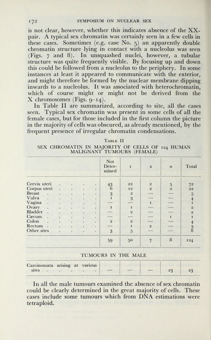 172 SYMPOSIUM ON NUCLEAR SEX is not clear, however, whether this indicates absence of the XX- pair. A typical sex chromatin was certainly seen in a few cells in these cases. Sometimes (e.g. case No. 5) an apparently double chromatin structure lying in contact with a nucleolus was seen (Figs. 7 and 8). In unsquashed nuclei, however, a tubular structure was quite frequently visible. By focusing up and down this could be followed from a nucleolus to the periphery. In some instances at least it appeared to communicate with the exterior, and might therefore be formed by the nuclear membrane dipping inwards to a nucleolus. It was associated with heterochromatin, which of course might or might not be derived from the X chromosomes (Figs. 9-14). In Table II are summarized, according to site, all the cases seen. Typical sex chromatin was present in some cells of all the female cases, but for those included in the first column the picture in the majority of cells was obscured, as already mentioned, by the frequent presence of irregular chromatin condensations. Table II SEX CHROMATIN IN MAJORITY OF CELLS OF 124 HUMAN MALIGNANT TUMOURS (FEMALE) In all the male tumours examined the absence of sex chromatin could be clearly determined in the great majority of cells. These cases include some tumours which from DNA estimations were tetraploid.