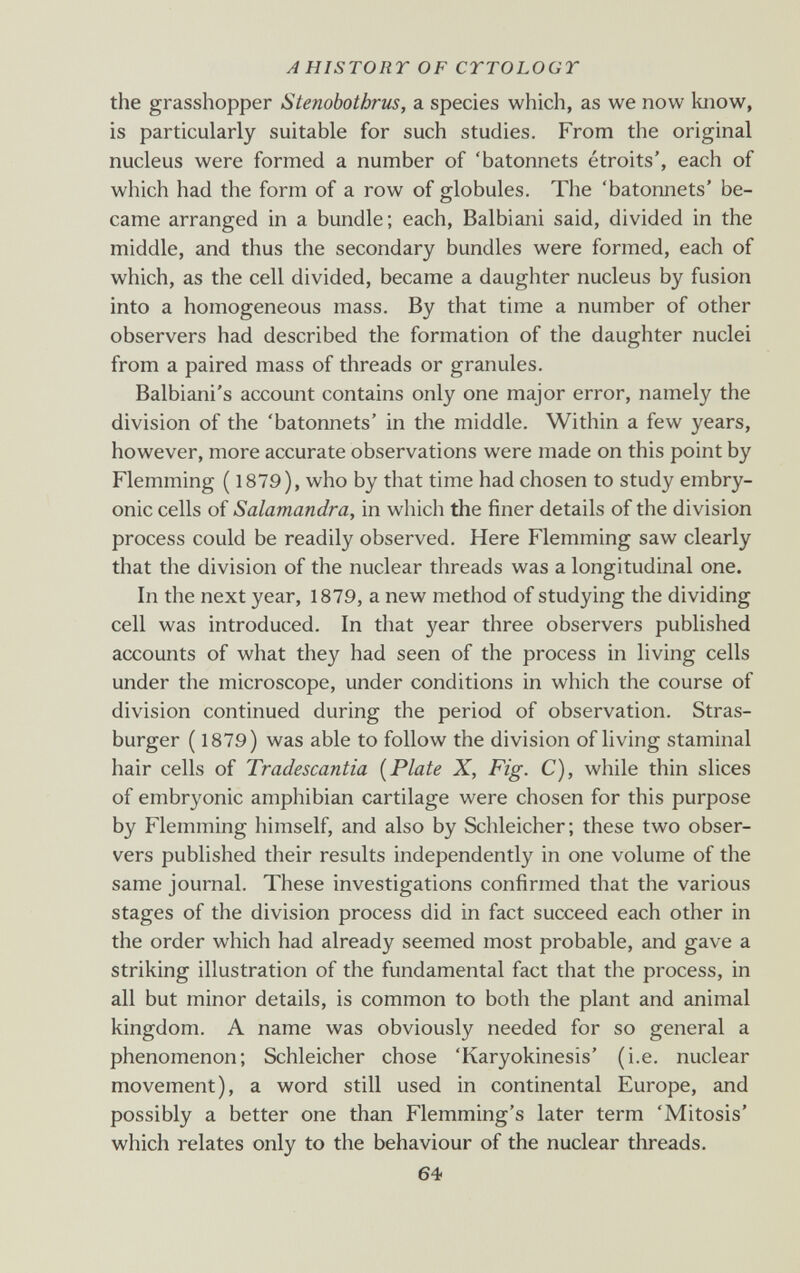 A HISTORY OF CTTOLOGT the grasshopper Stenobothrus, a species which, as we now know, is particularly suitable for such studies. From the original nucleus were formed a number of 'bâtonnets étroits', each of which had the form of a row of globules. The 'bâtonnets' be¬ came arranged in a bundle; each, Balbiani said, divided in the middle, and thus the secondary bundles were formed, each of which, as the cell divided, became a daughter nucleus by fusion into a homogeneous mass. By that time a number of other observers had described the formation of the daughter nuclei from a paired mass of threads or granules. Balbiani's account contains only one major error, namely the division of the 'bâtonnets' in the middle. Within a few years, however, more accurate observations were made on this point by Flemming ( 1879), who by that time had chosen to study embry¬ onic cells of Salamandra, in which the finer details of the division process could be readily observed. Here Flemming saw clearly that the division of the nuclear threads was a longitudinal one. In the next year, 1879, a new method of studying the dividing cell was introduced. In that year three observers published accounts of what they had seen of the process in living cells under the microscope, under conditions in which the course of division continued during the period of observation. Stras¬ burger ( 1879) was able to follow the division of living staminal hair cells of Tradescantia [Plate X, Fig. C), while thin slices of embryonic amphibian cartilage were chosen for this purpose by Flemming himself, and also by Schleicher; these two obser¬ vers published their results independently in one volume of the same journal. These investigations confirmed that the various stages of the division process did in fact succeed each other in the order which had already seemed most probable, and gave a striking illustration of the fundamental fact that the process, in all but minor details, is common to both the plant and animal kingdom. A name was obviously needed for so general a phenomenon; Schleicher chose 'Karyokinesis' (i.e. nuclear movement), a word still used in continental Europe, and possibly a better one than Flemming's later term 'Mitosis' which relates only to the behaviour of the nuclear threads. 64