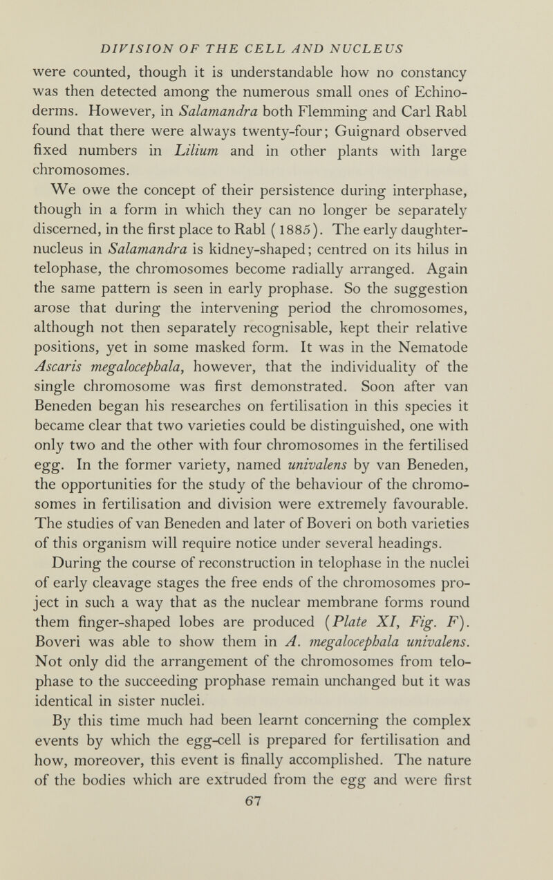 DIVISION OF THE CELL AND NUCLEUS were counted, though it is understandable how no constancy was then detected among the numerous small ones of Echino- derms. However, in Salamandra both Flemming and Carl Rabl found that there were always twenty-four; Guignard observed fixed numbers in Lilium and in other plants with large chromosomes. We owe the concept of their persistence during interphase, though in a form in which they can no longer be separately discerned, in the first place to Rabl ( 1885). The early daughter- nucleus in Salamandra is kidney-shaped ; centred on its hilus in telophase, the chromosomes become radially arranged. Again the same pattern is seen in early prophase. So the suggestion arose that during the intervening period the chromosomes, although not then separately recognisable, kept their relative positions, yet in some masked form. It was in the Nematode Ascaris megalocephala, however, that the individuality of the single chromosome was first demonstrated. Soon after van Beneden began his researches on fertilisation in this species it became clear that two varieties could be distinguished, one with only two and the other with four chromosomes in the fertilised egg. In the former variety, named univalens by van Beneden, the opportunities for the study of the behaviour of the chromo¬ somes in fertilisation and division were extremely favourable. The studies of van Beneden and later of Boveri on both varieties of this organism will require notice under several headings. During the course of reconstruction in telophase in the nuclei of early cleavage stages the free ends of the chromosomes pro¬ ject in such a way that as the nuclear membrane forms round them finger-shaped lobes are produced [Plate XI, Fig. F). Boveri was able to show them in A. megalocephala univalens. Not only did the arrangement of the chromosomes from telo¬ phase to the succeeding prophase remain unchanged but it was identical in sister nuclei. By this time much had been learnt concerning the complex events by which the egg-cell is prepared for fertilisation and how, moreover, this event is finally accomplished. The nature of the bodies which are extruded from the egg and were first 67