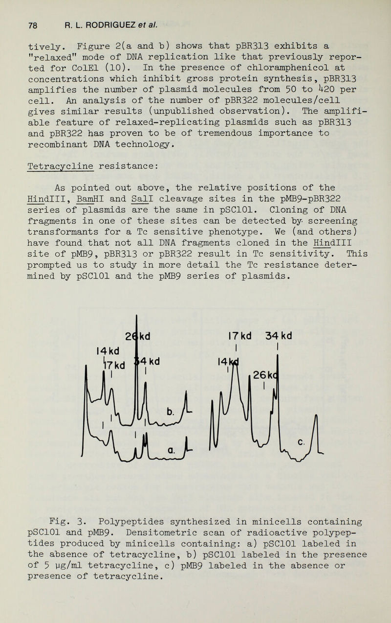 78 R. L. RODRIGUEZ et al. tively. Figure 2(a and Ъ) shows that pBR313 exhibits a relaxed mode of DNA replication like that previously repor¬ ted for ColEl (lO). In the presence of chloramphenicol at concentrations which inhibit gross protein synthesis, pBR313 amplifies the number of plasmid molecules from 50 to U20 per cell. An analysis of the number of pBR322 molecules/cell gives similar results (unpublished observation). The amplifi- able feature of relaxed-replicating plasmids such as pBR313 and pBR322 has proven to be of tremendous importance to recombinant DNA technology. Tetracycline resistance: As pointed out above, the relative positions of the Hindlll, BamHI and Sail cleavage sites in the pMB9-pBR322 series of plasmids are the same in pSClOl. Cloning of DNA fragments in one of these sites can be detected by screening transformants for a Tc sensitive phenotype. We (and others) have found that not all DNA fragments cloned in the Hindlll site of PMB9, pBR313 or pBR322 result in Tc sensitivity. This prompted us to study in more detail the Tc resistance deter¬ mined by pSClOl and the pMB9 series of plasmids. Fig. 3. Polypeptides synthesized in minicells containing pSClOl and PMB9. Densitometrie scan of radioactive polypep¬ tides produced by minicells containing: a) pSClOl labeled in the absence of tetracycline, b) pSClOl labeled in the presence of 5 yg/ml tetracycline, c) рМВ9 labeled in the absence or presence of tetracycline. 2( kd I4kd 17 kd 34 kd