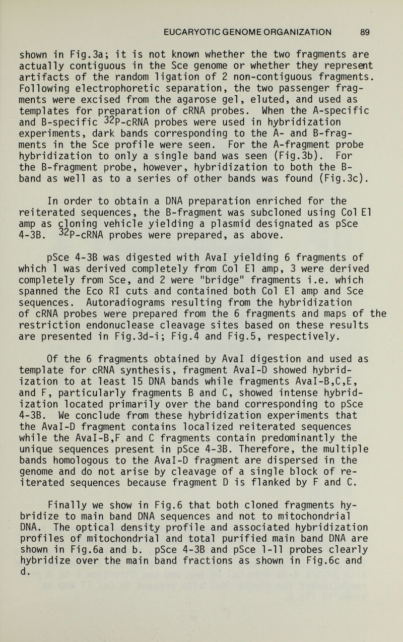 EUCARYOTIC GENOME ORGANIZATION 89 shown in Fig.3a; it is not known whether the two fragments are actually contiguous in the See genome or whether they represent artifacts of the random ligation of 2 non-contiguous fragments. Following electrophoretic separation, the two passenger frag¬ ments were excised from the agarose gel, eluted, and used as templates for preparation of cRNA probes. When the A-specific and B-specific 32p_cRNA probes were used in hybridization experiments, dark bands corresponding to the A- and B-frag- ments in the See profile were seen. For the A-fragment probe hybridization to only a single band was seen (Fig.3b). For the B-fragment probe, however, hybridization to both the B- band as well as to a series of other bands was found (Fig.3c). In order to obtain a DNA preparation enriched for the reiterated sequences, the B-fragment was subcloned using Col El amp as cloning vehicle yielding a pi asmid designated as pSce 4-3B. ^^P-cRM probes were prepared, as above. pSce 4-3B was digested with Aval yielding 6 fragments of which 1 was derived completely from Col El amp, 3 were derived completely from See, and 2 were bridge fragments i.e. which spanned the Eco RI cuts and contained both Col El amp and See sequences. Autoradiograms resulting from the hybridization of cRNA probes were prepared from the 6 fragments and maps of the restriction endonuclease cleavage sites based on these results are presented in Fig.3d-i; Fig.4 and Fig.5, respectively. Of the 6 fragments obtained by Aval digestion and used as template for cRNA synthesis, fragment Aval-D showed hybrid¬ ization to at least 15 DNA bands while fragments AvaI-B,C,E, and F, particularly fragments В and C, showed intense hybrid¬ ization located primarily over the band corresponding to pSee 4-3B. We conclude from these hybridization experiments that the Aval-D fragment contains localized reiterated sequences while the AvaI-B,F and С fragments contain predominantly the unique sequences present in pSce 4-3B. Therefore, the multiple bands homologous to the Aval-D fragment are dispersed in the genome and do not arise by cleavage of a single block of re¬ iterated sequences because fragment D is flanked by F and C. Finally we show in Fig.6 that both cloned fragments hy¬ bridize to main band DNA sequences and not to mitochondrial DNA. The optical density profile and associated hybridization profiles of mitochondrial and total purified main band DNA are shown in Fig.6a and b. pSce 4-3B and pSce 1-11 probes clearly hybridize over the main band fractions as shown in Fig.6c and d.
