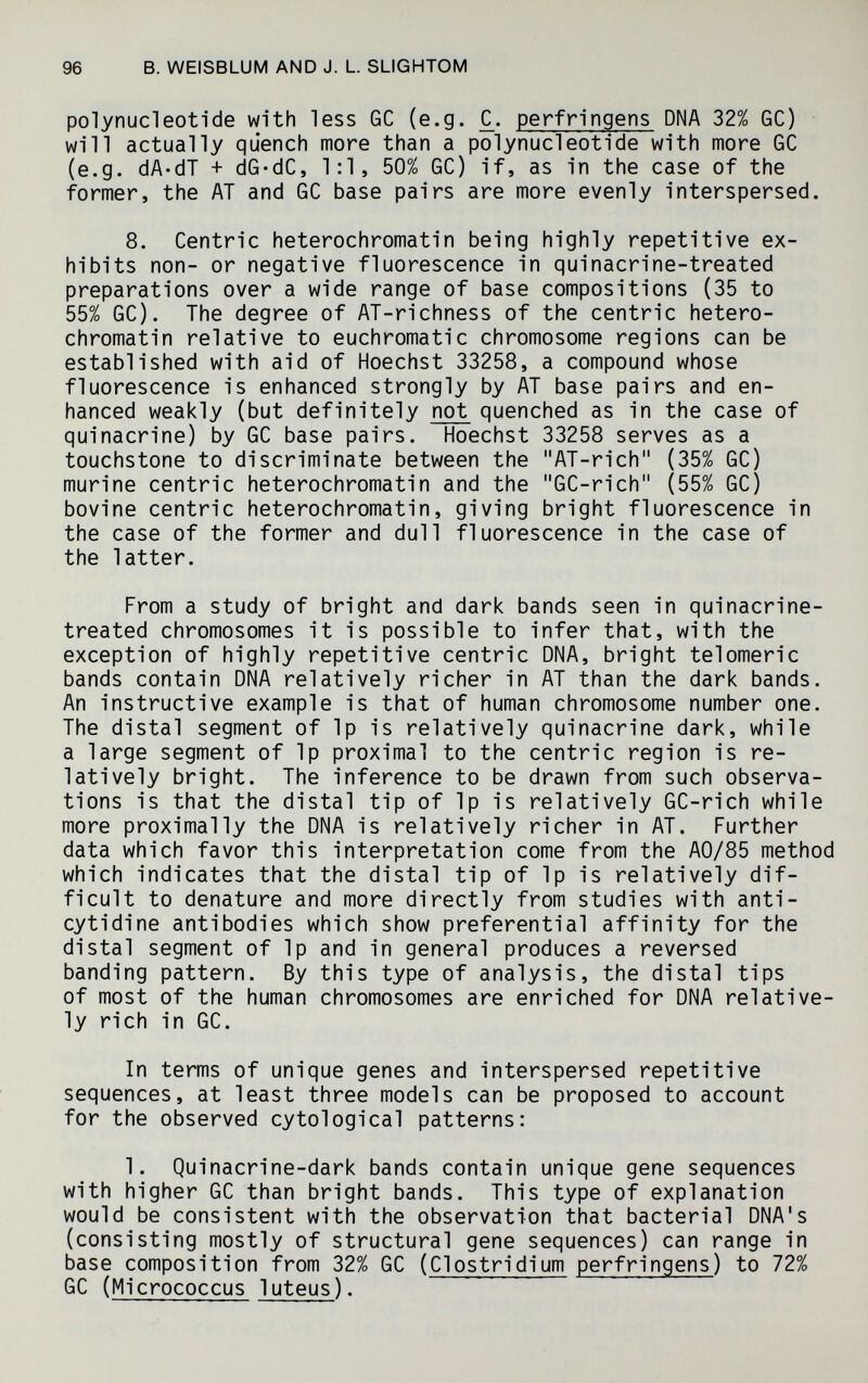 96 В. WEISBLUM AND J. L. SLIGHTOM polynucleotide wi'th less GC (e.g. C^. perfringens DNA 32% GC) will actually quench more than a polynucleotide with more GC (e.g. dA-dT + dG-dC, 1:1, 50% GC) if, as in the case of the former, the AT and GC base pairs are more evenly interspersed. 8. Centric heterochromatin being highly repetitive ex¬ hibits non- or negative fluorescence in quinacrine-treated preparations over a wide range of base compositions (35 to 55% GC). The degree of AT-richness of the centric hetero¬ chromatin relative to euchromatic chromosome regions can be established with aid of Hoechst 33258, a compound whose fluorescence is enhanced strongly by AT base pairs and en¬ hanced weakly (but definitely not quenched as in the case of quinacrine) by GC base pairs. Hoechst 33258 serves as a touchstone to discriminate between the AT-rich (35% GC) murine centric heterochromatin and the GC-rich (55% GC) bovine centric heterochromatin, giving bright fluorescence in the case of the former and dull fluorescence in the case of the latter. From a study of bright and dark bands seen in quinacrine- treated chromosomes it is possible to infer that, with the exception of highly repetitive centric DNA, bright tel omeri с bands contain DNA relatively richer in AT than the dark bands. An instructive example is that of human chromosome number one. The distal segment of Ip is relatively quinacrine dark, while a large segment of Ip proximal to the centric region is re¬ latively bright. The inference to be drawn from such observa¬ tions is that the distal tip of Ip is relatively GC-rich while more proximally the DNA is relatively richer in AT. Further data which favor this interpretation come from the AO/85 method which indicates that the distal tip of Ip is relatively dif¬ ficult to denature and more directly from studies with anti- cytidine antibodies which show preferential affinity for the distal segment of Ip and in general produces a reversed banding pattern. By this type of analysis, the distal tips of most of the human chromosomes are enriched for DNA relative¬ ly rich in GC. In terms of unique genes and interspersed repetitive sequences, at least three models can be proposed to account for the observed cytological patterns: 1. Quinacrine-dark bands contain unique gene sequences with higher GC than bright bands. This type of explanation would be consistent with the observation that bacterial DNA's (consisting mostly of structural gene sequences) can range in base composition from 32% GC (Clostridium perfringens) to 72% GC (Micrococcus luteus).