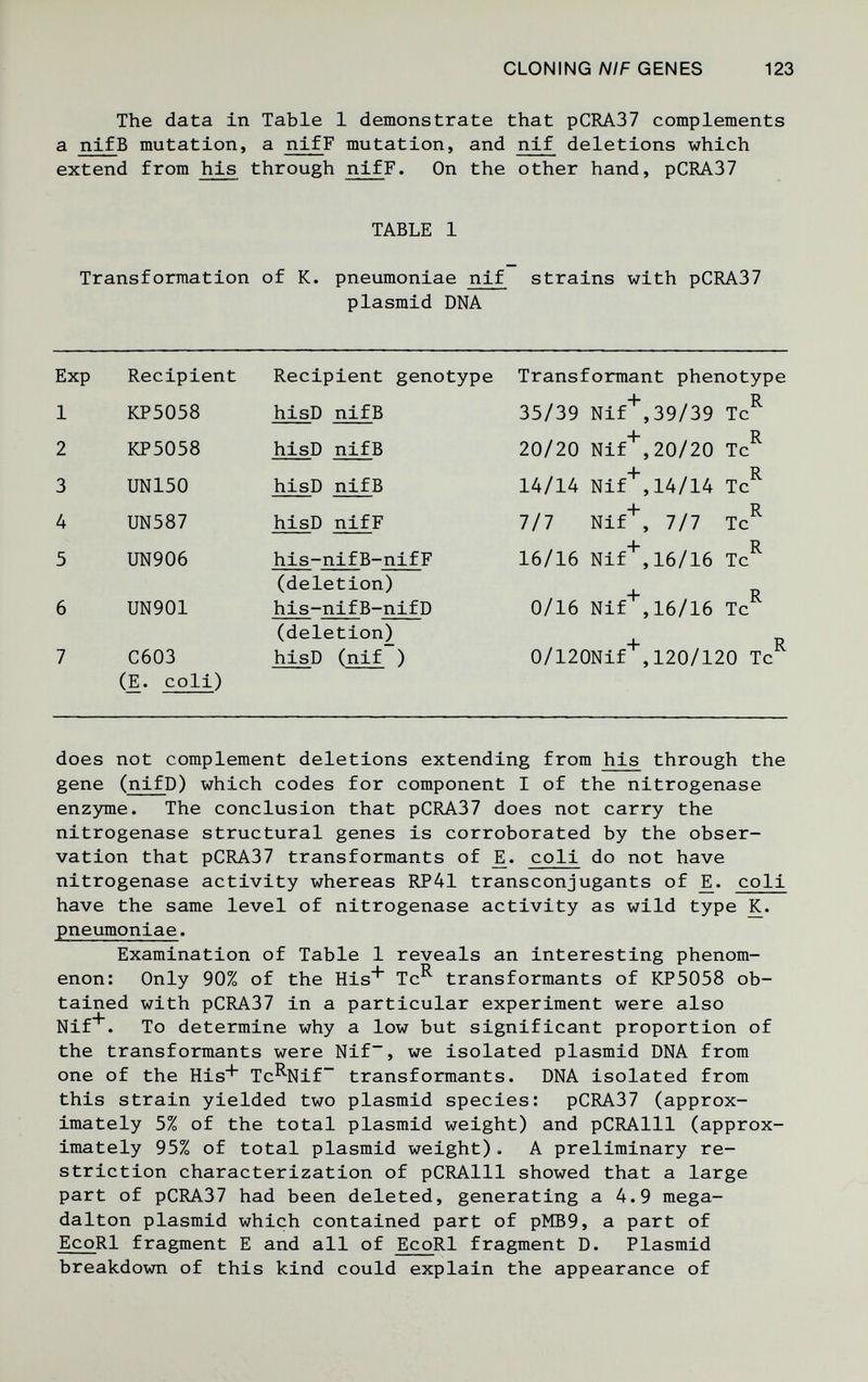 CLONING NIF GENES 123 The data in Table 1 demonstrate that pCRA37 complements a nlfB mutation, a nifF mutation, and nif deletions which extend from his through nifF. On the other hand, pCRA37 TABLE 1 Transformation of K. pneumoniae nif strains with pCRA37 Plasmid DNA Transformant phenotype 0/16 Nif*, 16/16 Тс^ O/iaONif*, 120/120 Тс^ does not complement deletions extending from his through the gene (nifP) which codes for component I of the nitrogenase enzyme. The conclusion that pCRA37 does not carry the nitrogenase structural genes is corroborated by the obser¬ vation that pCRA37 transformants of coli do not have nitrogenase activity whereas RP41 transconjugants of coli have the same level of nitrogenase activity as wild type K. pneumoniae. Examination of Table 1 reveals an interesting phenom¬ enon: Only 90% of the His^ Tc^ transformants of KP5058 ob¬ tained with pCRA37 in a particular experiment were also Nif^. To determine why a low but significant proportion of the transformants were Nif, we isolated plasmid DNA from one of the His* Tc^Nif transformants. DNA isolated from this strain yielded two plasmid species: pCRA37 (approx¬ imately 5% of the total plasmid weight) and pCRAlll (approx¬ imately 95% of total plasmid weight). A preliminary re¬ striction characterization of pCRAlll showed that a large part of pCRA37 had been deleted, generating a 4.9 mega- dalton plasmid which contained part of pMB9, a part of EcoRl fragment E and all of EcoRl fragment D. Plasmid breakdown of this kind could explain the appearance of