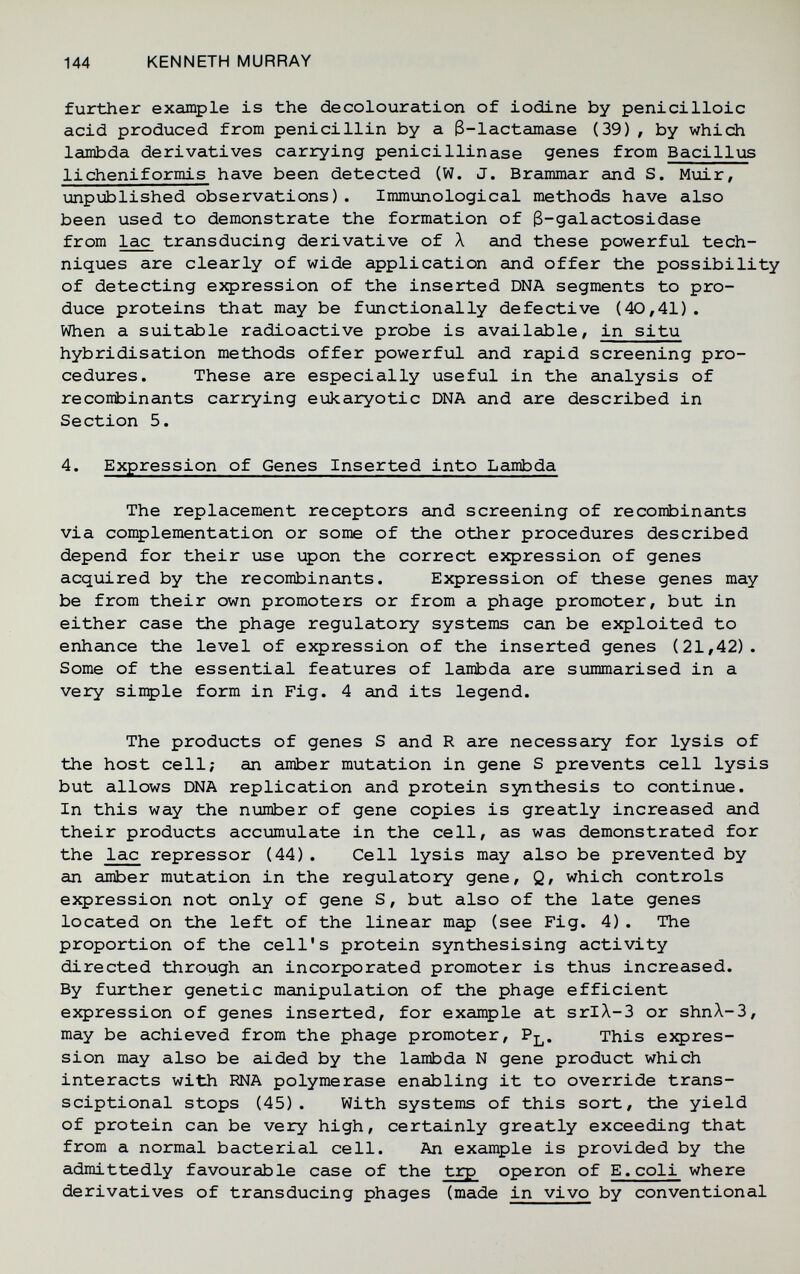 144 KENNETH MURRAY further example is the decolouration of iodine by penicilloic acid produced from penicillin by a 3-lactamase (39), by which lambda derivatives carrying penicillinase genes from Bacillus licheniformis have been detected (W. J. Brammar and S. Muir, unpijblished observations) . Immunological methods have also been used to demonstrate the formation of 3-galactosidase from lac transducing derivative of Л and these powerful tech¬ niques are clearly of wide application and offer the possibility of detecting expression of the inserted DNA segments to pro¬ duce proteins that may be functionally defective (40,41) . When a suitable radioactive probe is available, in situ hybridisation methods offer powerful and rapid screening pro¬ cedures. These are especially useful in the analysis of recontoinants carrying eukaryotic DNA and are described in Section 5. 4. Expression of Genes Inserted into Lambda The replacement receptors and screening of recombinants via complementation or some of the other procedures described depend for their use upon the correct expression of genes acquired by the recombinants. Expression of these genes may be from their own promoters or from a phage promoter, but in either case the phage regulatory systems can be exploited to enhance the level of expression of the inserted genes (21,42). Some of the essential features of lambda are sxommarised in a very sinple form in Fig. 4 and its legend. The products of genes S and R are necessary for lysis of the host cell; an amber mutation in gene S prevents cell lysis but allows DNA replication and protein synthesis to continue. In this way the number of gene copies is greatly increased and their products accumulate in the cell, as was demonstrated for the lac repressor (44). Cell lysis may also be prevented by an amber mutation in the regulatory gene, Q, which controls eзфression not only of gene S, but also of the late genes located on the left of the linear map (see Fig. 4). The proportion of the cell's protein synthesising activity directed through an incorporated promoter is thus increased. By further genetic manipulation of the phage efficient eJфression of genes inserted, for example at srlA.-3 or shnX-3, may be achieved from the phage promoter, P^. This eзфres- sion may also be aided by the lambda N gene product which interacts with RNA polymerase enabling it to override trans- sciptional stops (45). With systems of this sort, the yield of protein can be very high, certainly greatly exceeding that from a normal bacterial cell. An example is provided by the admittedly favourable case of the trp operon of E.coli where derivatives of transducing phages (made in vivo by conventional