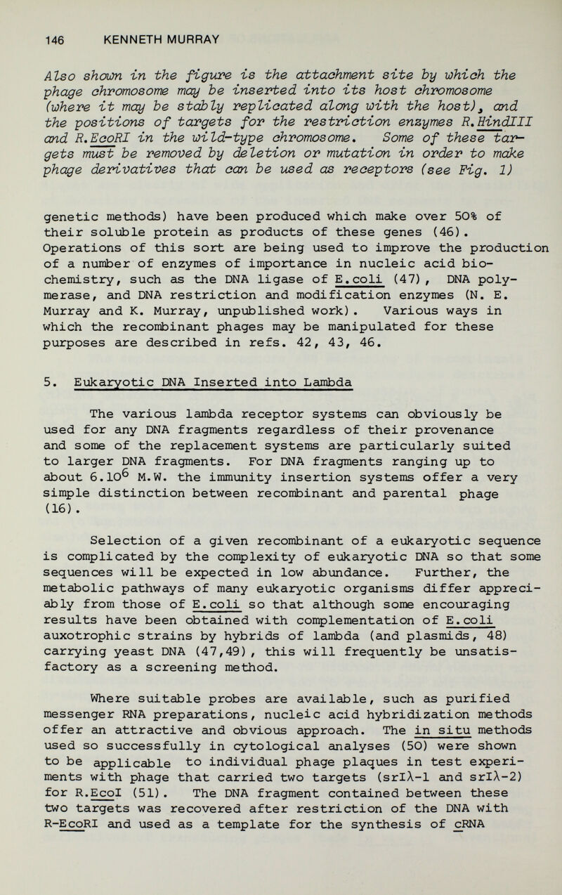 146 KENNETH MURRAY Also shoum in the figure is the attachment site Ъу which the phage chromosome may be inserted into its host chromosome (where it may be stably replicated along with the host)^ and the positions of targets for the restriction enzymes R.Hindlll and R.EcoRI in the wild-type chromosome. Some of these tar¬ gets must be removed by deletion or mutation in order to make phage derivatives that can be used аз receptors (see Fig. 1) genetic methods) have been produced which make over 50% of their soluble protein as products of these genes (46). Operations of this sort are being used to improve the production of a nunber of enzymes of importance in nucleic acid bio¬ chemistry, such as the DNA ligase of E. coli (47) , DNA poly¬ merase, and DNA restriction and modification enzymes (N. E. Murray and K. Murray, unpublished work). Various ways in which the recombinant phages may be manipulated for these purposes are described in refs. 42, 43, 46. 5. Eukaryotic DNA Inserted into Lambda The various lambda receptor systems can obviously be used for any DNA fragments regardless of their provenance and some of the replacement systems are particularly siiited to larger DNA fragments. For DNA fragments ranging up to about 6.10^ M.W. the immunity insertion systems offer a very simple distinction between recombinant and parental phage (16) . Selection of a given recombinant of a eukaryotic sequence is complicated by the complexity of eukaryotic DNA so that some sequences will be expected in low abundance. Further, the metabolic pathways of many eukaryotic organisms differ appreci¬ ably from those of E. coli so that although some encoiiraging results have been obtained with conplementation of E. co li auxotrophic strains by hybrids of lambda (and plasmids, 48) carrying yeast DNA (47,49), this will frequently be unsatis¬ factory as a screening method. Where suitable probes are available, such as purified messenger RNA preparations, nucleic acid hybridization methods offer an attractive and obvious approach. The in situ methods used so successfully in cytological analyses (50) were shown to be applicable to individual phage plaques in test езфег1- ments with phage that carried two targets (srlX-1 and srlA-2) for R.EcoI (51). The DNA fragment contained between these two targets was recovered after restriction of the DNA with R-EcoRI and used as a template for the synthesis of cRNA