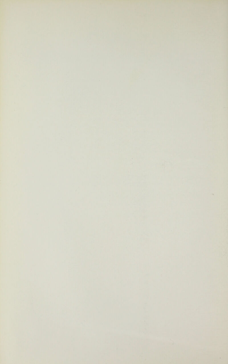 'm шш Il ' Ч • V . ..-.TV'' w ' • -■' i/-.» ■ ./'Тч ^¿K£2^LL:lk. ■á г щ Ш Л J ■ -á/íVi .:•■ ^чл * - * ÍA jpí/ ' ''' ^.- .ivy ■S5:''*ia¿.«i»-w;'. ,-Д'.;,. L' ' *^Ц'^ i ':^.' %'ßÜSm^^M