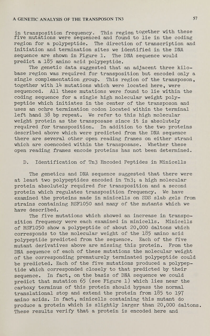 A GENETIC ANALYSIS OF THE TRANSPOSON TN3 57 in transposition frequency. This region together with these five mutations were sequenced and foTind to lie in the coding region for a polypeptide. The direction of transcription and initiation and termination sites we identified in the DNA sequence are shown in Figure 1. The DNA sequence would predict a 285 amino acid polypeptide. The genetic data suggested that an adjacent three kilo- hase region was required for transposition but encoded only a single complementation group. This region of the transposon, together with lU mutations which were located here, were sequenced. All these mutations were found to lie within the coding sequence for a single high molecular weight poly¬ peptide which initiates in the center of the transposon and uses an ochre termination codon located within the terminal left hand 38 bp repeat. We refer to this high molecular weight protein as the transposase since it is absolutely required for transposition. In addition to the two proteins described above which were predicted from the DNA sequence there are several other open reading frames on either strand which are coencoded within the transposase. Whether these open reading frames encode proteins has not been determined. D. Identification of Tn3 Encoded Peptides in Minicells The genetics and DNA sequence suggested that there were at least two polypeptides encoded in TnS; a high molecular protein absolutely required for transposition and a second protein which regulates transposition frequency. We have examined the proteins made in minicells on SDS slab gels from strains containing RSF1050 and many of the mutants which we have described. The five mutations which showed an increase in transpo¬ sition frequency were each examined in minicells. Minicells of RSFIO5O show a polypeptide of about 20,000 daltons which corresponds to the molecular weight of the I85 amino acid polypeptide predicted from the sequence. Each of the five mutant derivatives above are missing this protein. From the DNA sequence of each of these mutations the molecular weight of the corresponding prematurely terminated polypeptide could be predicted. Each of the five mutations produced a polypep¬ tide which corresponded closely to that predicted by their sequence. In fact, on the basis of DNA sequence we could predict that mutation 65 (see Figure l) which lies near the carboxy terminus of this protein should bypass the normal translational stop and extend the protein from I85 to 197 amino acids. In fact, minicells containing this mutant do produce a protein which is slightly larger than 20,000 daltons. These results verify that a protein is encoded here and