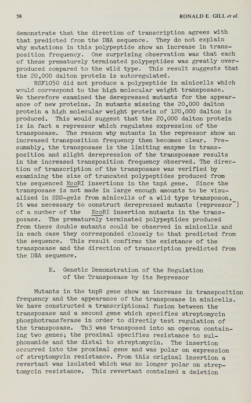 58 RONALD E. GILL et al. demonstrate that the direction of transcription agrees with that predicted from the DNA sequence. They do not explain why mutations in this polypeptide show an increase in trans¬ position frequency. One surprising observation was that each of these prematurely terminated polypeptides was greatly over¬ produced compared to the wild type. This result suggests that the 20,000 dalton protein is autoregulated. RSFIO5O did not produce a polypeptide in minicells which would correspond to the high molecular weight transposase. We therefore examined the derepressed mutants for the appear¬ ance of new proteins. In mutants missing the 20,000 dalton protein a high molecular weight protein of 120,000 dalton is produced. This would suggest that the 20,000 dalton protein is in fact a repressor which regulates expression of the transposase. The reason why mutants in the repressor show an increased transposition frequency then becomes clear. Pre¬ sumably, the transposase is the limiting enzyme in trans¬ position and slight derepression of the transposase results in the increased transposition frequency observed. The direc¬ tion of transcription of the transposase was verified by examining the size of truncated polypeptides produced from the sequenced EcoRI insertions in the tnpA gene. Since the transposase is not made in large enough amounts to be visu¬ alized in SDS-gels from minicells of a wild type transposon, it was necessary to construct derepressed mutants (repressor) of a number of the EcoRI insertion mutants in the trans¬ posase. The prematurely terminated polypeptides produced from these double mutants could be observed in minicells and in each case they corresponded closely to that predicted from the sequence. This result confirms the existance of the transposase and the direction of transcription predicted from the DNA sequence. E. Genetic Demonstration of the Regulation of the Transposase by its Repressor Mutants in the tnpR gene show an increase in transposition frequency and the appearance of the transposase in minicells. We have constructed a traлscriptional fusion between the transposase and a second gene which specifies streptomycin phosphotransferase in order to directly test regvilation of the transposase. Tn3 was transposed into an operon contain¬ ing two genes; the proximal specifies resistance to sul- phonamide and the distal to streptomycin. The insertion occurred into the proximal gene and was polar on expression of streptomycin resistance. From this original insertion a revertant was isolated which was no longer polar on strep¬ tomycin resistance. This revertant contained a deletion