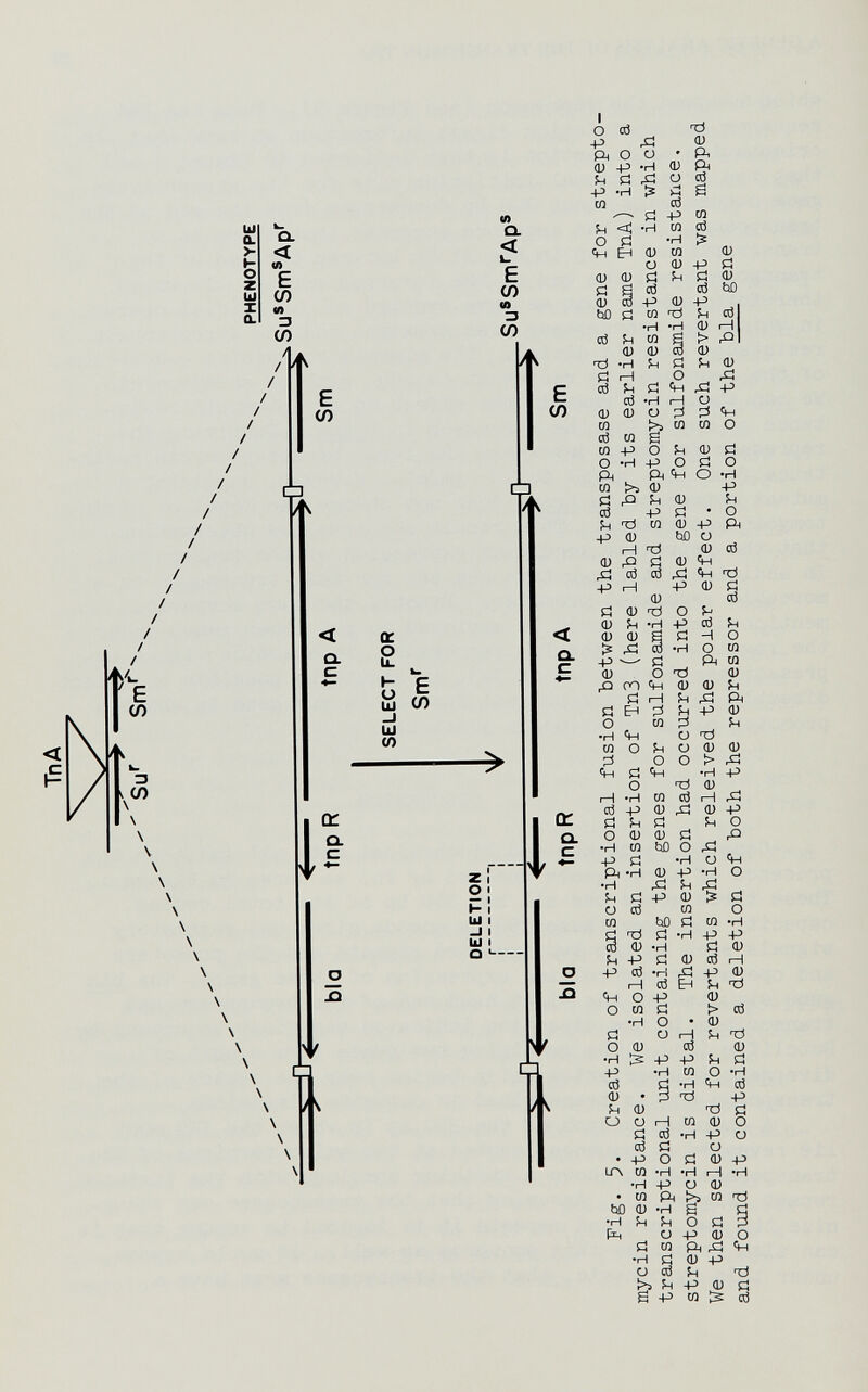 Ul о. >- к о Z (и X о. о. < «й E (Л и 3 (Л / / <л Q. < к. E СП ю 3 (О E (Л ö ! V E (/) р i \ Î / / Л. E (Л о. с b ш (П \ \ \ i а: CL О I К ! Ill i -II llJ i о •- i! о С / V I о -р Рн (U У1 -р ю !ч О т:) ш * Pi (Ü Рн о CÖ Д Й cd -р W W cd О. С й •н Ü -р (Ü Рн ,с| (Ü -Р -Р <U СО 13 о т:) Д cd