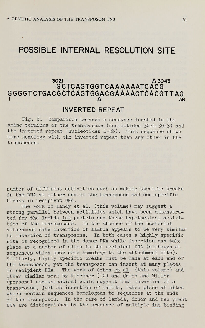 A GENETIC ANALYSIS OF THE TRANSPOSON TN3 61 POSSIBLE INTERNAL RESOLUTION SITE 3021 A 3043 GCTCAGTGGTCAAAAAATCACG GGGGTCTGACGCtCÁGtÓGACGÁÁÁÁCtCÁCGTTAG I 36 amino terminus of the transposase (nucleotides 3021-30^3) and the inverted repeat (nucleotides 1-38). This sequence shovs more homology with the inverted repeat than any other in the transposon. number of different activities such as making specific breaks in the DNA at either end of the transposon and non-specific breaks in recipient DNA. The work of Landy e^ (this volume) may suggest a strong parallel between activities which have been demonstra¬ ted for the lambda int protein and these hypothetical activi¬ ties of the transposase. In the absence of the bacterial attachment site insertion of lambda appears to be very similar to insertion of transposons. In both cases a highly specific site is recognized in the donor DNA while insertion can take place at a number of sites in the recipient DNA (although at sequences which show some homology to the attachment site). Similarly, highly specific breaks must be made at each end of the transposon, yet the transposon can insert at many places in recipient DNA. The work of Cohen e;t (this volume) and other similar work by Kleckner (12) and Calos and Miller (personal communication) would suggest that insertion of a transposon, just as insertion of lambda, takes place at sites which contain sequences homologous to sequences at the ends of the transposon. In the case of lambda, donor and recipient DNA are distinguished by the presence of multiple int binding