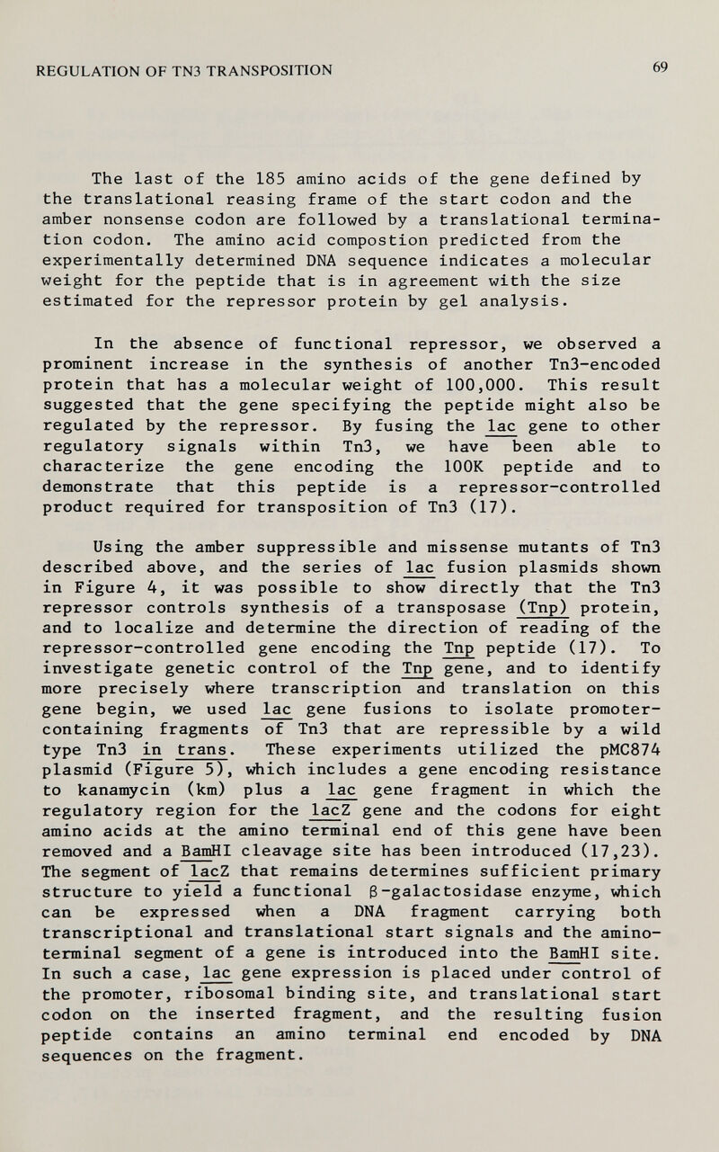 REGULATION OF TN3 TRANSPOSITION 69 The last of the 185 amino acids of the gene defined by the translational reasing frame of the start codon and the amber nonsense codon are followed by a translational termina¬ tion codon. The amino acid compostion predicted from the experimentally determined DNA sequence indicates a molecular weight for the peptide that is in agreement with the size estimated for the repressor protein by gel analysis. In the absence of functional repressor, we observed a prominent increase in the synthesis of another Tn3-encoded protein that has a molecular weight of 100,000. This result suggested that the gene specifying the peptide might also be regulated by the repressor. By fusing the lac gene to other regulatory signals within Tn3, we have been able to characterize the gene encoding the lOOK peptide and to demonstrate that this peptide is a repressor-controlled product required for transposition of Tn3 (17). Using the amber suppressible and missense mutants of Tn3 described above, and the series of lac fusion plasmids shown in Figure 4, it was possible to show directly that the Tn3 repressor controls synthesis of a transposase (Tnp) protein, and to localize and determine the direction of reading of the repressor-controlled gene encoding the Tnp peptide (17). To investigate genetic control of the Tnp gene, and to identify more precisely where transcription and translation on this gene begin, we used lac gene fusions to isolate promoter- containing fragments of Tn3 that are repressible by a wild type Tn3 trans. These experiments utilized the pMC874 plasmid (Figure 5), which includes a gene encoding resistance to kananycin (km) plus a lac gene fragment in which the regulatory region for the lacZ gene and the codons for eight amino acids at the amino terminal end of this gene have been removed and a BamHI cleavage site has been introduced (17,23). The segment of lacZ that remains determines sufficient primary structure to yield a functional ß-galactosidase enzyme, which can be expressed when a DNA fragment carrying both transcriptional and translational start signals and the amino- terminal segment of a gene is introduced into the BamHI site. In such a case, lac gene expression is placed under control of the promoter, ribosomal binding site, and translational start codon on the inserted fragment, and the resulting fusion peptide contains an amino terminal end encoded by DNA sequences on the fragment.