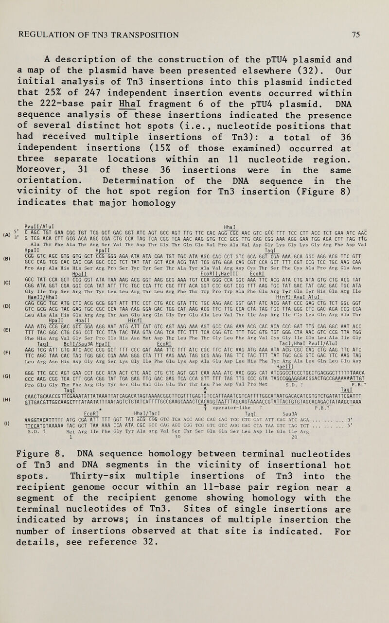 REGULATION OF TN3 TRANSPOSITION 75 A description of the construction of the pTU4 plasmid and a map of the plasmid have been presented elsewhere (32). Our initial analysis of Tn3 insertions into this plasmid indicted that 25% of 247 independent insertion events occurred within the 222-base pair Hhal fragment 6 of the pTU4 plasmid. DNA sequence analysis of these insertions indicated the presence of several distinct hot spots (i.e., nucleotide positions that had received multiple insertions of Tn3): a total of 36 independent insertions (15% of those examined) occurred at three separate locations within an 11 nucleotide region. Moreover, 31 of these 36 insertions were in the same orientation. Determination of the DNA sequence in the vicinity of the hot spot region for Tn3 insertion (Figure 8) indicates that major homology Pvull/A1ul Hhal С AGC TGT GAA CGC TGT TCG GCT GAC GGT АТС AGT GCC AGT TTG TTC CAC AGG CGC AAC GTC GCC TTT TCC CTT ACC TCT GAA АТС AAC G TCG АСА CTT GCG АСА AGC CGA CTG CCA TAG TCA CGG TCA AAC AAG GTG TCC GCG TTG CAG CGG AAA AGG GAA TGG AGA CTT TAG TTG Ala Thr Phe Ala Thr Arg Ser Val Thr Aap Thr Gly Thr Gin Glu Val Pro Ala Val Asp Gly Lys Gly Lys Gly Arg Phe Asp Val Hpall Hpall TaqI CGG GTC AGC GTG GTG GCT CGG GGG AGA ATA ATA CGA TGT TGC ATA AGC CAC CCT GTC GCA GGT CGA AAA GCA GGC AGG ACG TTC GTT GCC CAG TCG CAC CAC CGA GGC CCC TCT TAT TAT GCT АСА ACG TAT TCG GTG GGA CAG GGT CCA GCT TTT CGT CCG TCC TGC AAG CAA Pro Asp Ala His His Ser Arg Pro Ser Туг Туг Ser Thr Ala Туг Ala Val Arg Asp Cys Ihr Ser Phe Cys Ala Pro Arg Glu Asn Hpall EcoRII.Hael11 EcoRI GCC TAT CCA GCT CCG GGT ATA TAA AAG ACG GGT AAG GCG AAA TGT CCA GGG CCA GGC AAA TTC ACG ATA CTG ATA GTG CTG ACG TAT CGG ATA GGT CGA GGC CCA TAT ATT TTC TGC CCA TTC CGC TTT АСА GGT CCC GGT CCG TTT AAG TGC TAT GAC TAT CAC GAC TGC ATA Gly lie Trp Ser Arg Thr Туг Leu Leu Arg Thr Leu Arg Phe Thr Trp Pro Trp Ala Phe Glu Arg Tyr Gin Tyr His Gin Arg Ile Haell/Hhal Hinfl Aval Alul CAG CGC TGC ATG CTC ACG GCG GGT ATT TTC CCT CTG ACC GTA TTC TGC AAG AAC GGT GAT АТС ACG AAT CCC GAG CTG TCT GGC GGT GTC GCG ACG TAC GAG TGC CGC CCA TAA AAG GGA GAC TGG CAT AAG ACG TTC TTG CCA СТА TAG TGC TTA GGG CTC GAC AGA CCG CCA Leu Ala Ala His Glu Arg Arg Thr Asn Glu Arg Gin Gly Tyr Glu Ala Leu Val Thr Ile Asp Arg Ile Gly Leu Gin Arg Ala Thr Hpall Hpall Hinfl AAA ATG CCG GAC GCC GGA AGG AAT ATG ATT CAT GTC AGT AAG AAA AGT GCC CAG AAA ACG CAC АСА CCC GAT IJG CAG GGC AAT ACC TTT TAC GGC CTG CGG CCT TCC TTA TAC TAA GTA CAG TCA TTC TTT TCA CGG GTC TTT TGC GTG TGT GGG СТА AAC GTC CCG TTA TGG Phe His Arg Val Gly Ser Pro Ile His Asn Met Asp Thr Leu Phe Thr Gly Leu Phe Arg Val Cys Gly Ile Gin Leu Ala Ile Gly Taql Bc1I/Sau3A Hpall EcoRI Taci .Hhal PvuII/AluI AAG TCG ATT GTG АТС ACC CCG GCT TTT CCC GAT AAA TTC TTT АТС CGC TTC АТС AAG ATG AAA ATA ACG CGC CAG CTG AAG TTC АТС TTC AGC TAA CAC TAG TGG GGC CGA AAA GGG СТА TTT AAG AAA TAG GCG AAG TAG TTC TAC TTT TAT TGC GCG GTC GAC TTC AAG TAG Leu Arg Asn His Asp Gly Arg Ser Lys Gly Ile Phe Glu Lys Asp Ala Glu Asp Leu His Phe Tyr Arg Ala Leu Gin Leu Glu Asp Haelll GGG TTC GCC AGT GAA CCT GCC ATA ACT CTC AAC CTG CTC AGT GGT CAA AAA АТС AAC GGG CAT ATCGGCCTCCCTGCCTGACGGCTTTTTTAACA CCC AAG CGG TCA CTT GGA CGG TAT TGA GAG TTG GAC GAG TCA CCA GTT TTT TAG TTG CCC GTA TAGCCGGAGGGACGGACTGCCGAAAAAATTGT Pro Glu Gly Thr Phe Arg Gly Tyr Ser Glu Val Gin Glu Thr Thr Leu Phe Asp Val Pro Met S.D. ? P.B.? Taql ^ Taql CAACTGCAACCGTTCGAAATATTATAAATTATCAGACATAGTAAAACGGCTTCGTTTGAGTGTCCATTAAATCGTCATTTTGGCATAATGACACATCGTGTCTGATATTCGATTT RTTGACGTTGGCAAGCTTTATAATATTTAATAGTCTGTATCATTTTGCCGAAGCAAACTCACAGGTAATTTAGCAGTAAAACCGTATTACTGTGTAGCACAGACTATAAGCTAAA ^ j operator-like ? P.В.? EcoRI Hhal/TacI Taql Sau3A AAGGTACATTTTT ATG CGA ATT TTT GGT TAT GCG CGG GTC TCA ACC AGC CAG CAG TCC CTC GAT ЛТТ CAG АТС AGA 3' TTCCATGTAAAAA TAC GCT TAA AAA CCA ATA CGC OCC CAG AGT TGG TCG GTC GTC AGG GAG СТА TAA GTC TAG TCT  5* S.D. ? Met Arg Ile Phe Gly Tyr Ala arg Val Ser Thr Ser Gin Gin Ser Leu Asp Ile Gin Ile Arg 1 10 20 Figure 8. DNA sequence homology between terminal nucleotides of Tn3 and DNA segments in the vicinity of insertional hot spots. Thirty-six multiple insertions of Tn3 into the recipient genome occur within an 11-base pair region near a segment of the recipient genome showing homology with the terminal nucleotides of Tn3. Sites of single insertions are indicated by arrows; in instances of multiple insertion the number of insertions observed at that site is indicated. For details, see reference 32.