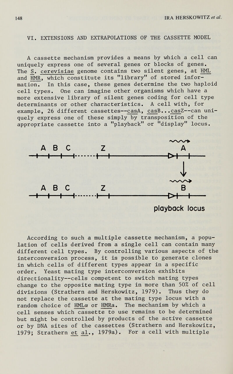 148 IRA HERSKOWITZ et al. VI. EXTENSIONS AND EXTRAPOLATIONS OF THE CASSETTE MODEL A cassette mechanism provides a means by which a cell can uniquely express one of several genes or blocks of genes. The cerevisiae genome contains two silent genes, at HML and HMR, which constitute its library of stored infor¬ mation. In this case, these genes determine the two haploid cell types. One can imagine other organisms which have a more extensive library of silent genes coding for cell type determinants or other characteristics. A cell with, for example, 26 different cassettes—casA, casB...casZ—can uni¬ quely express one of these simply by transposition of the appropriate cassette into a playback or display locus. ABC Z H 1 1 1 \ K ABC Z H 1—I—I I—I- playback locus According to such a multiple cassette mechanism, a popu¬ lation of cells derived from a single cell can contain many different cell types. By controlling various aspects of the interconversion process, it is possible to generate clones in which cells of different types appear in a specific order. Yeast mating type interconversion exhibits directionality—cells competent to switch mating types change to the opposite mating type in more than 50% of cell divisions (Strathern and Herskowitz, 1979). Thus they do not replace the cassette at the mating type locus with a random choice of HMLa or HMRa. The mechanism by which a cell senses which cassette to use remains to be determined but might be controlled by products of the active cassette or by DNA sites of the cassettes (Strathern and Herskowitz, 1979; Strathern ^ , 1979a). For a cell with multiple