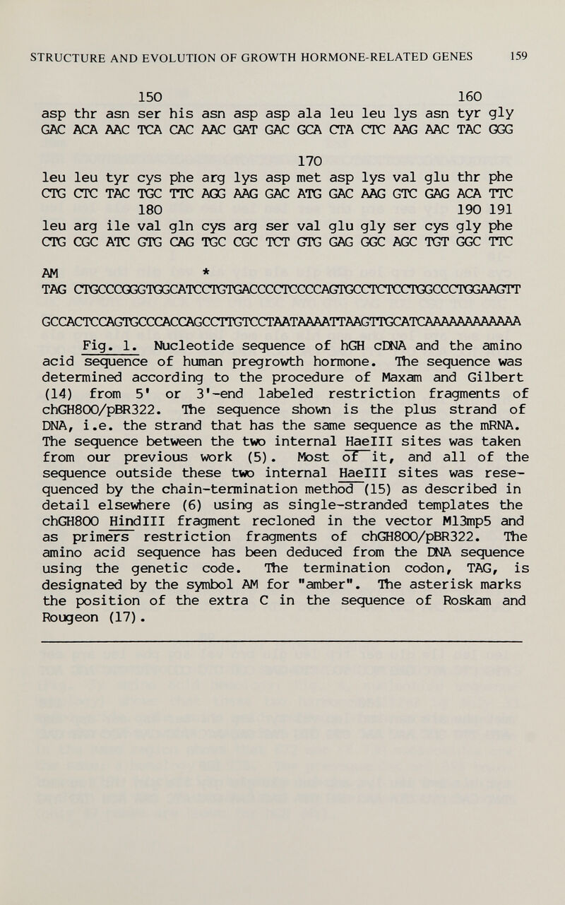 STRUCTURE AND EVOLUTION OF GROWTH HORMONE-RELATED GENES 159 AM * TAG CTGCCCQGGTGGCATC(nx^TGACCCCTCCCCAGTGCCTCTCCTCGCCCTGGAAGTT GCCACTCCAGTGCCCACCAGCCTTGTCCTAATAAAATTAAGTTGCATCAAAAAAAAAAAA Fig. 1. Nucleotide sequence of hGH cDNA and the amino acid sequence of human pregrowth hormone. The sequence was determined according to the procedure of Maxam and Gilbert (14) from 5' or 3'-end labeled restriction fragments of chGH800/pBR322. Ttie sequence shown is the plus strand of DNA, i.e. the strand that has the same sequence as the mRNA. The sequence between the tvro internal Haelll sites was taken from our previous work (5). Most of it, and all of the sequence outside these two internal Haelll sites was rese- quenced by the chain-termination method (15) as described in detail elsevdiere (6) using as single-stranded templates the chGHSOO Hindlll fragment recloned in the vector M13mp5 and as primers restriction fragments of chGH800/pBR322. The amino acid sequence has been deduced from the ENA sequence using the genetic code. Hie termination codon, TAG, is designated by the symbol AM for amber. The asterisk marks the position of the extra С in the sequence of Roskam and Rougeon (17).