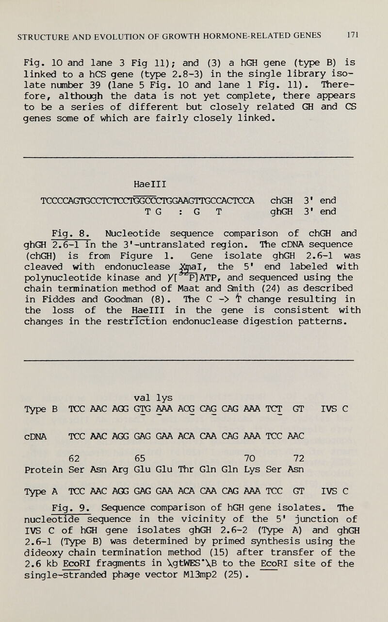 STRUCTURE AND EVOLUTION OF GROWTH HORMONE-RELATED GENES 171 Fig. 10 and lane 3 Fig 11); and (3) a hGH gene (type B) is linked to a hCS gene (type 2.8-3) in the single library iso¬ late number 39 (lane 5 Fig. 10 and lane 1 Fig. 11). There¬ fore, although the data is not yet complete, there appears to be a series of different but closely related GH and CS genes some of which are fairly closely linked. Haelll TCCCCAGTGCCTCTCCTCGCCCTGGAAGTTGCCACTCCA chGH 3' end T G ; G Т ghGH 3' end Fig. 8. Nucleotide sequence comparison of chGH and ghGH 2.6-1 in the 3'-untranslated region. Itie cDNA sequence (chGH) is from Figure 1. Gene isolate ghGH 2.6-1 was cleaved with endonuclease j^al, the 5* end labeled with polynucleotide kinase and /[ P]ATP, and sequenced using the chain termination method of Maat and £inith (24) as described in Fiddes and Goodman (8). The С -> 't' change resulting in the loss of the Haelll in the gene is consistent with changes in the restriction endonuclease digestion patterns. val lys Type В ТСС AAC AGG GTC ^ ACG CAG CAG AAA TCT GT IVS С cDNA TCC AAC AGG GAG GAA АСА CAA CAG AAA TCC AAC 62 65 70 72 Protein Ser Asn Arg Glu Glu Thr Gin Gin Lys Ser Asn Type A TCC AAC AGG GAG GAA АСА CAA CAG AAA TCC GT IVS С Fig. 9. Sequence comparison of hGH gene isolates. The nucleotide sequence in the vicinity of the 5* junction of IVS С of hGH gene isolates ghGH 2.6-2 (Type A) and ghGH 2.6-1 (Type B) was determined by primed synthesis using the dideoxy chain termination method (15) after transfer of the 2.6 kb EcoRI fragments in \gtWES*\B to the EcoRI site of the single-stranded phage vector M13mp2 (25).