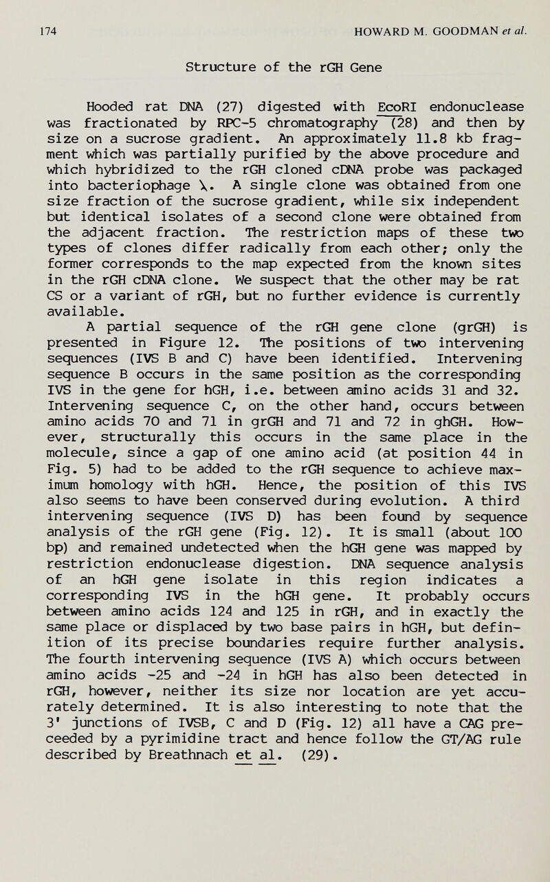 174 HOWARD M. GOODMAN et al. Structure of the rGH Gene Hooded rat 1Ж1А (27) digested with EcoRI endonuclease was fractionated by RPC-5 chromatography (28) and then by size on a sucrose gradient. An approximately 11.8 kb frag¬ ment which was partially purified by the above procedure and which hybridized to the rGH cloned cEWA probe was packaged into bacteriophage \. A single clone was obtained from one size fraction of the sucrose gradient, while six independent but identical isolates of a second clone were obtained from the adjacent fraction. The restriction maps of these two types of clones differ radically from each other; only the former corresponds to the map expected from the known sites in the rGH cDNA clone. We suspect that the other may be rat CS or a variant of rGH, but no further evidence is currently available. A partial sequence of the rGH gene clone (grGH) is presented in Figure 12. Hie positions of two intervening sequences (IVS В and C) have been identified. Intervening sequence В occurs in the same position as the corresponding IVS in the gene for hGH, i.e. between amino acids 31 and 32. Intervening sequence C, on the other hand, occurs between amino acids 70 and 71 in grGH and 71 and 72 in ghGH. How¬ ever, structurally this occurs in the same place in the molecule, since a gap of one amino acid (at position 44 in Fig. 5) had to be added to the rGH sequence to achieve max¬ imum homology with hGH. Hence, the position of this IVS also seems to have been conserved during evolution. A third intervening sequence (IVS D) has been found by sequence analysis of the rGH gene (Fig. 12). It is small (about 100 bp) and remained undetected v^ien the hGH gene was mapped by restriction endonuclease digestion. ША sequence analysis of an hGH gene isolate in this region indicates a corresponding IVS in the hGH gene. It probably occurs between amino acids 124 and 125 in rGH, and in exactly the same place or displaced by two base pairs in hGH, but defin¬ ition of its precise boundaries require further analysis. The fourth intervening sequence (IVS A) which occurs between amino acids -25 and -24 in hGH has also been detected in rGH, however, neither its size nor location are yet accu¬ rately determined. It is also interesting to note that the 3' junctions of IVSB, С and D (Fig. 12) all have a GAG pre- ceeded by a pyrimidine tract and hence follow the GT/AG rule described by Breathnach et al. (29).