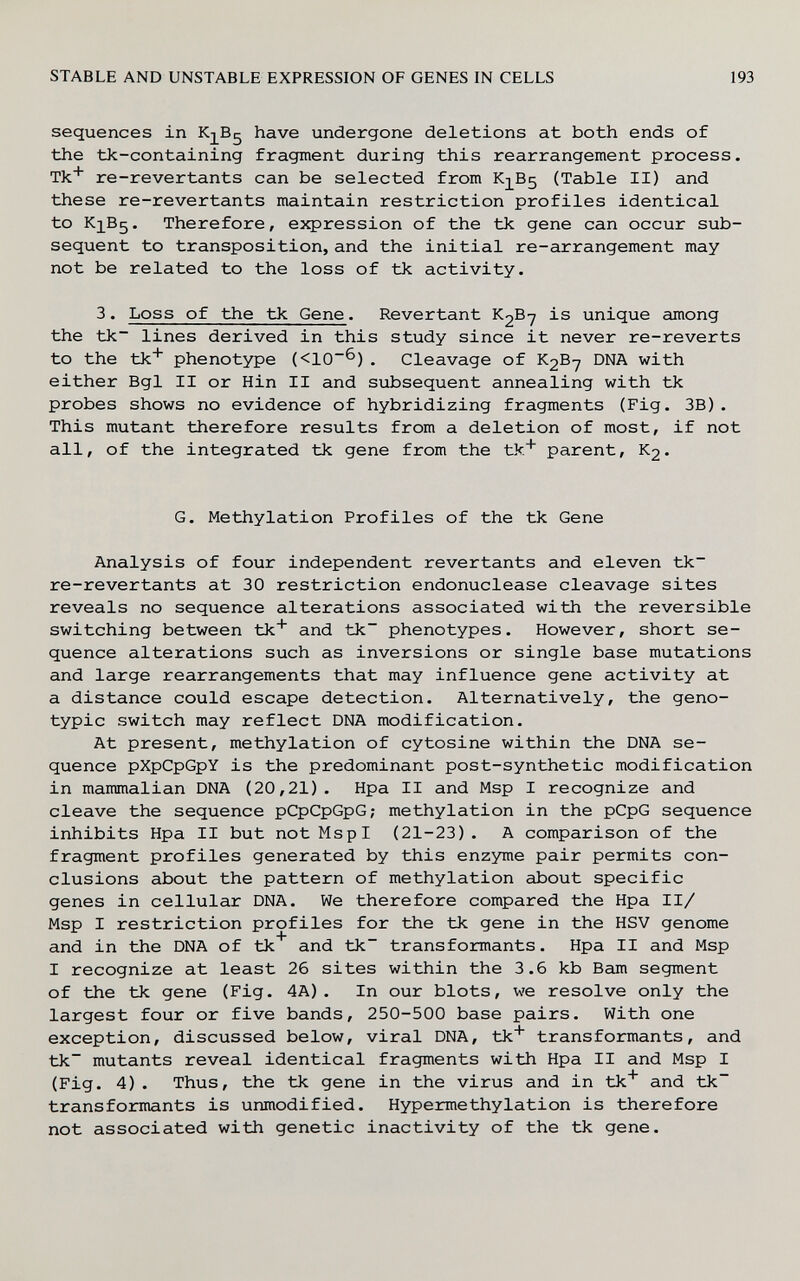 STABLE AND UNSTABLE EXPRESSION OF GENES IN CELLS 193 sequences in Кд^В^ have undergone deletions at both ends of the tk-containing fragment during this rearrangement process. Tk* re-revertants can be selected from Кд^В5 (Table II) and these re-revertants maintain restriction profiles identical to Кд^Вз« Therefore, expression of the tk gene can occur sub¬ sequent to transposition, and the initial re-arrangement may not be related to the loss of tk activity. 3. Loss of the tk Gene. Revertant K2B7 is unique among the tk~ lines derived in this study since it never re-reverts to the tk^ phenotype (<10~^) . Cleavage of K2B-7 DNA with either Bgl II or Hin II and subsequent annealing with tk probes shows no evidence of hybridizing fragments (Fig. 3B). This mutant therefore results from a deletion of most, if not all, of the integrated tk gene from the tk^ parent, K2. G. Methylation Profiles of the tk Gene Analysis of four independent revertants and eleven tk~ re-revertants at 30 restriction endonuclease cleavage sites reveals no sequence alterations associated with the reversible switching between tk* and tk~ phenotypes. However, short se¬ quence alterations such as inversions or single base mutations and large rearrangements that may influence gene activity at a distance could escape detection. Alternatively, the geno- typic switch may reflect DNA modification. At present, methylation of cytosine within the DNA se¬ quence pXpCpGpY is the predominant post-synthetic modification in mammalian DNA (20,21). Hpa II and Msp I recognize and cleave the sequence pCpCpGpG; methylation in the pCpG sequence inhibits Hpa II but not Msp I (21-23). A comparison of the fragment profiles generated by this enzyme pair permits con¬ clusions about the pattern of methylation about specific genes in cellular DNA. We therefore compared the Hpa II/ Msp I restriction profiles for the tk gene in the HSV genome and in the DNA of tk and tk~ transformants. Hpa II and Msp I recognize at least 26 sites within the 3.6 kb Bam segment of the tk gene (Fig. 4A). In our blots, we resolve only the largest four or five bands, 250-500 base pairs. With one exception, discussed below, viral DNA, tk* transformants, and tk~ mutants reveal identical fragments with Hpa II and Msp I (Fig. 4) . Thus, the tk gene in the virus and in tk* and tk~ transformants is unmodified. Hypermethylation is therefore not associated with genetic inactivity of the tk gene.