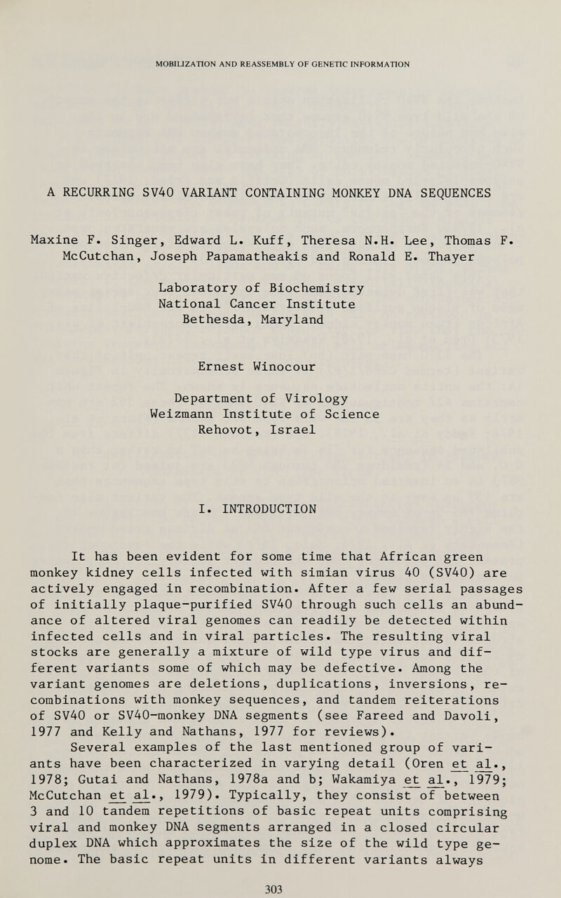 MOBIUZATION AND REASSEMBLY OF GENETIC INFORMATION A RECUIIRING SV40 VARIANT CONTAINING MONKEY DNA SEQUENCES Maxlne F. Singer, Edward L. Kuff, Theresa N.H. Lee, Thomas F. McCutchan, Joseph Papamatheakis and Ronald E. Thayer Laboratory of Biochemistry National Cancer Institute Bethesda, Maryland Ernest Winocour Department of Virology Weizmann Institute of Science Rehovot, Israel I. INTRODUCTION It has been evident for some time that African green monkey kidney cells infected with simian virus 40 (SV40) are actively engaged in recombination. After a few serial passages of initially plaque-purified SV40 through such cells an abund¬ ance of altered viral genomes can readily be detected within infected cells and in viral particles. The resulting viral stocks are generally a mixture of wild type virus and dif¬ ferent variants some of which may be defective. Among the variant genomes are deletions, duplications, inversions, re¬ combinations with monkey sequences, and tandem reiterations of SV40 or SV40-monkey DNA segments (see Fareed and Davoli, 1977 and Kelly and Nathans, 1977 for reviews). Several examples of the last mentioned group of vari¬ ants have been characterized in varying detail (Oren et al., 1978; Gutai and Nathans, 1978a and b; Wakamiya £t aJL., 1979; McCutchan ^ a^., 1979). Typically, they consist of between 3 and 10 tandem repetitions of basic repeat units comprising viral and monkey DNA segments arranged in a closed circular duplex DNA which approximates the size of the wild type ge¬ nome. The basic repeat units in different variants always 303
