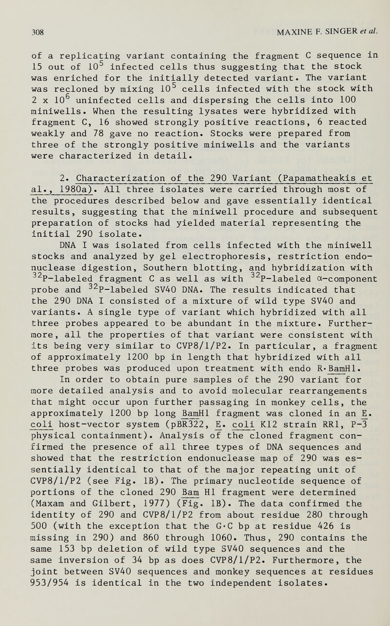 308 MAXINE F. SINGER et al. of a replicating variant containing the fragment С sequence in 15 out of 10^ infected cells thus suggesting that the stock was enriched for the initially detected variant. The variant was recloned by mixing 10^ cells infected with the stock with 2 X 10^ uninfected cells and dispersing the cells into 100 miniwells. When the resulting lysates were hybridized with fragment C, 16 showed strongly positive reactions, 6 reacted weakly and 78 gave no reaction. Stocks were prepared from three of the strongly positive miniwells and the variants were characterized in detail. 2. Characterization of the 290 Variant (Papamatheakis et al., 1980a). All three isolates were carried through most of the procedures described below and gave essentially identical results, suggesting that the miniwell procedure and subsequent preparation of stocks had yielded material representing the initial 290 isolate. DNA I was isolated from cells infected with the miniwell stocks and analyzed by gel electrophoresis, restriction endo- nuclease digestion. Southern blotting, and hybridization with ^^P-labeled fragment С as well as with ^^P-labeled ct-component probe and ^^P-labeled SV40 DNA. The results indicated that the 290 DNA I consisted of a mixture of wild type SV40 and variants. A single type of variant which hybridized with all three probes appeared to be abundant in the mixture. Further¬ more, all the properties of that variant were consistent with its being very similar to CVP8/1/P2. In particular, a fragment of approximately 1200 bp in length that hybridized with all three probes was produced upon treatment with endo R-BamHl. In order to obtain pure samples of the 290 variant for more detailed analysis and to avoid molecular rearrangements that might occur upon further passaging in monkey cells, the approximately 1200 bp long BamHl fragment was cloned in an coli host-vector system (pBR322, coli K12 strain RRl, P-3 physical containment). Analysis of the cloned fragment con¬ firmed the presence of all three types of DNA sequences and showed that the restriction endonuclease map of 290 was es¬ sentially identical to that of the major repeating unit of CVP8/1/P2 (see Fig. IB). The primary nucleotide sequence of portions of the cloned 290 Bam HI fragment were determined (Maxam and Gilbert, 1977) (Fig. IB). The data confirmed the identity of 290 and CVP8/1/P2 from about residue 280 through 500 (with the exception that the G*C bp at residue 426 is missing in 290) and 860 through 1060. Thus, 290 contains the same 153 bp deletion of wild type SV40 sequences and the same inversion of 34 bp as does CVP8/1/P2. Furthermore, the joint between SV40 sequences and monkey sequences at residues 953/954 is identical in the two independent isolates.